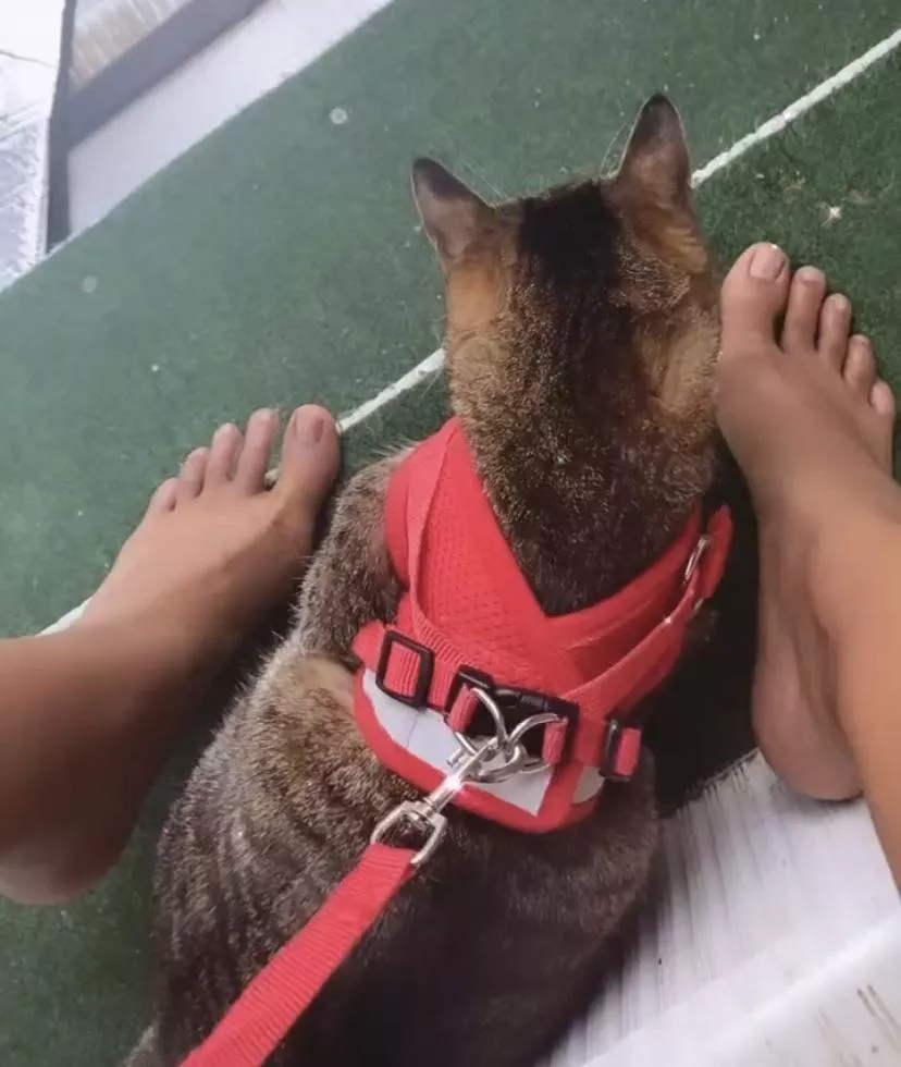 Screenshot of feet with my kitty