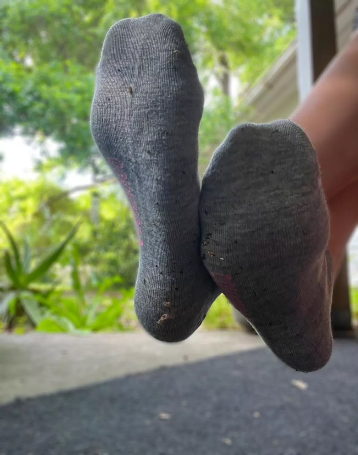 [Selling] Day 2 of these delicious grey converse socks🧦💦😜