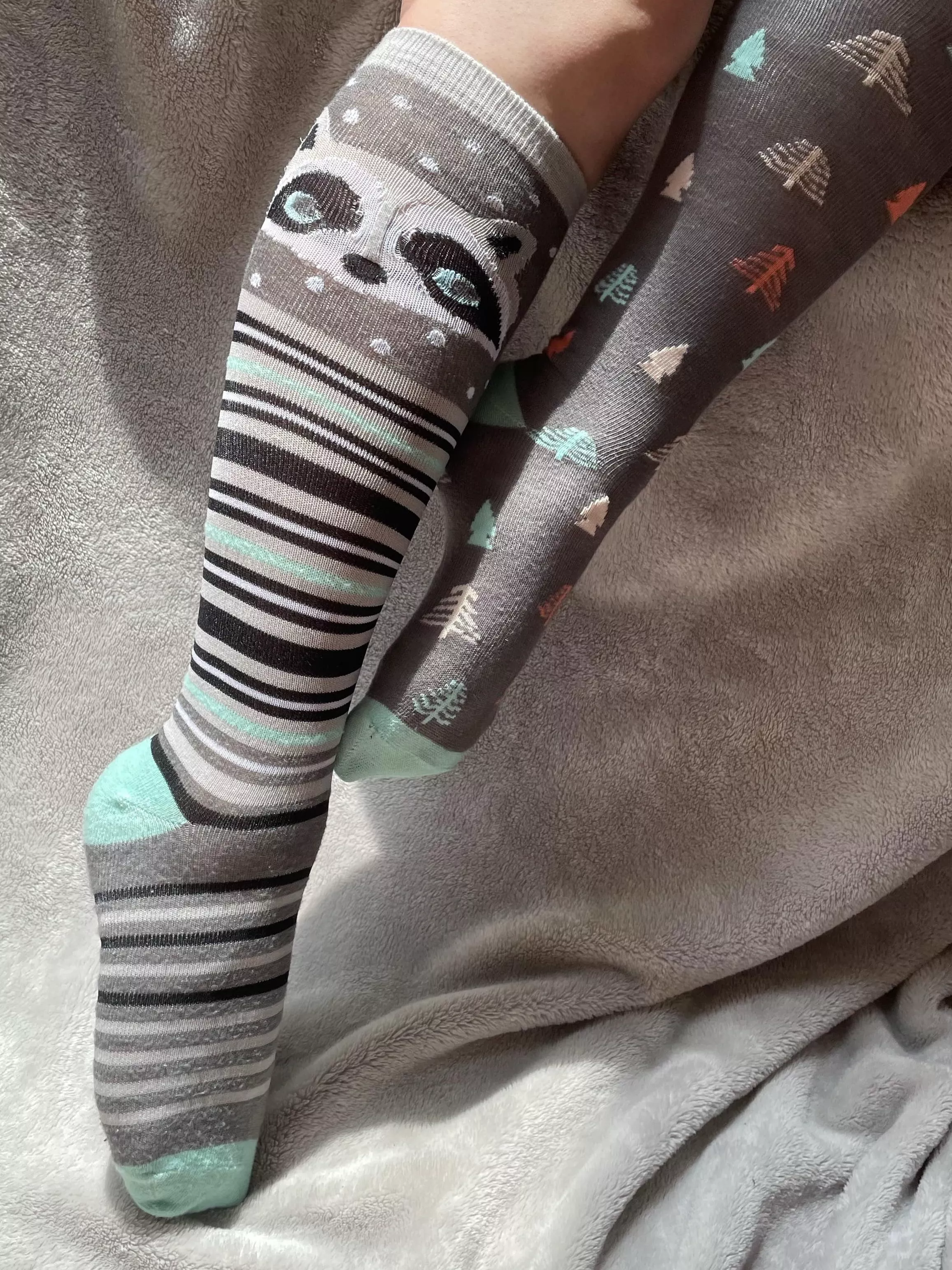 [Selling] [US] Knee High Raccoons :)