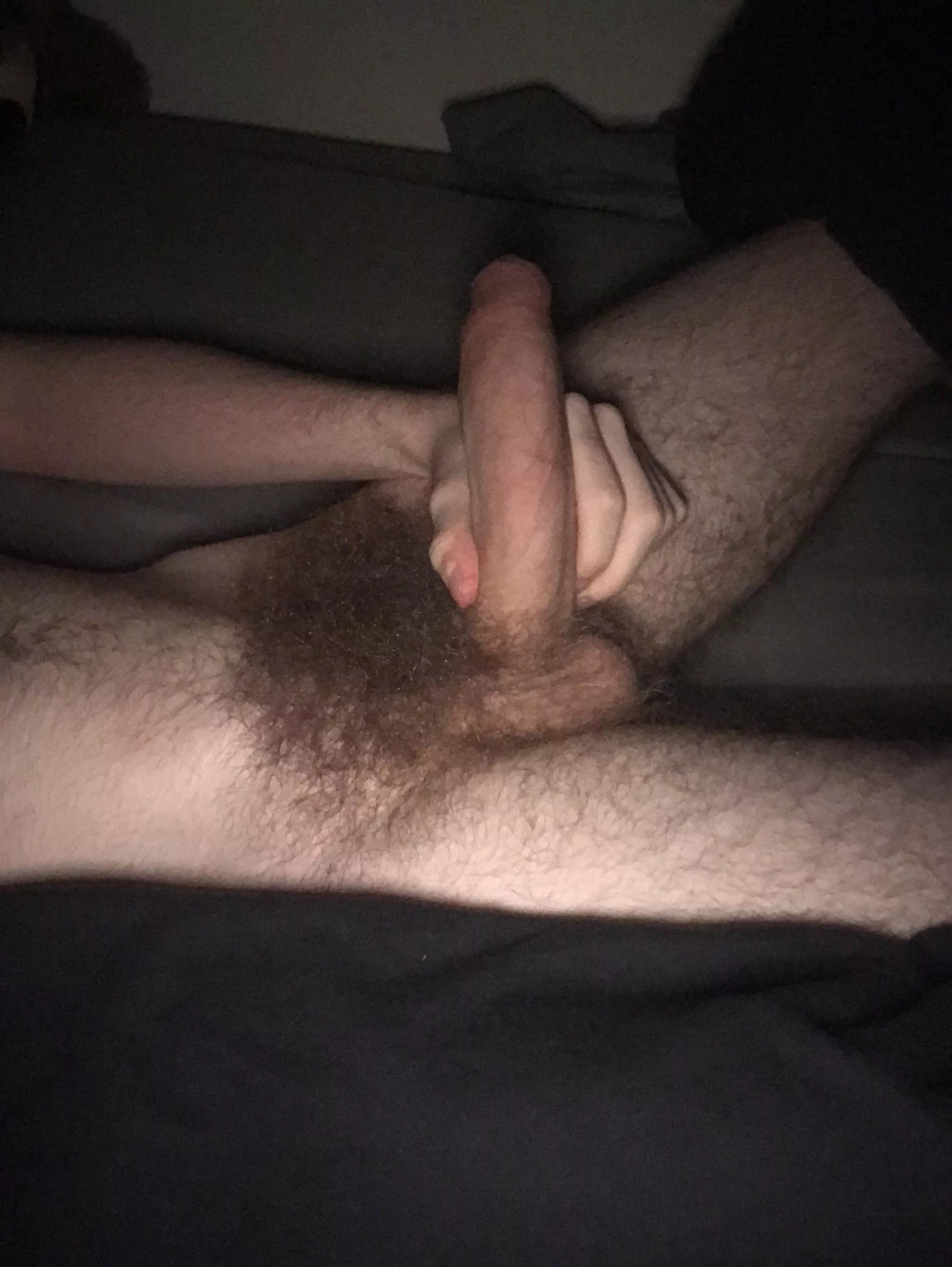 Semi dick with a big bush, DM me all the dirty things you’d do 😈😈