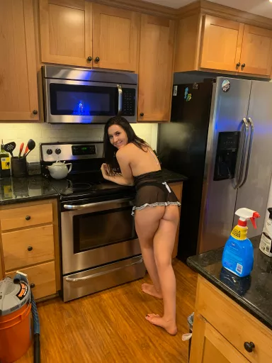 sexy cleaning portland oregon area. no touching