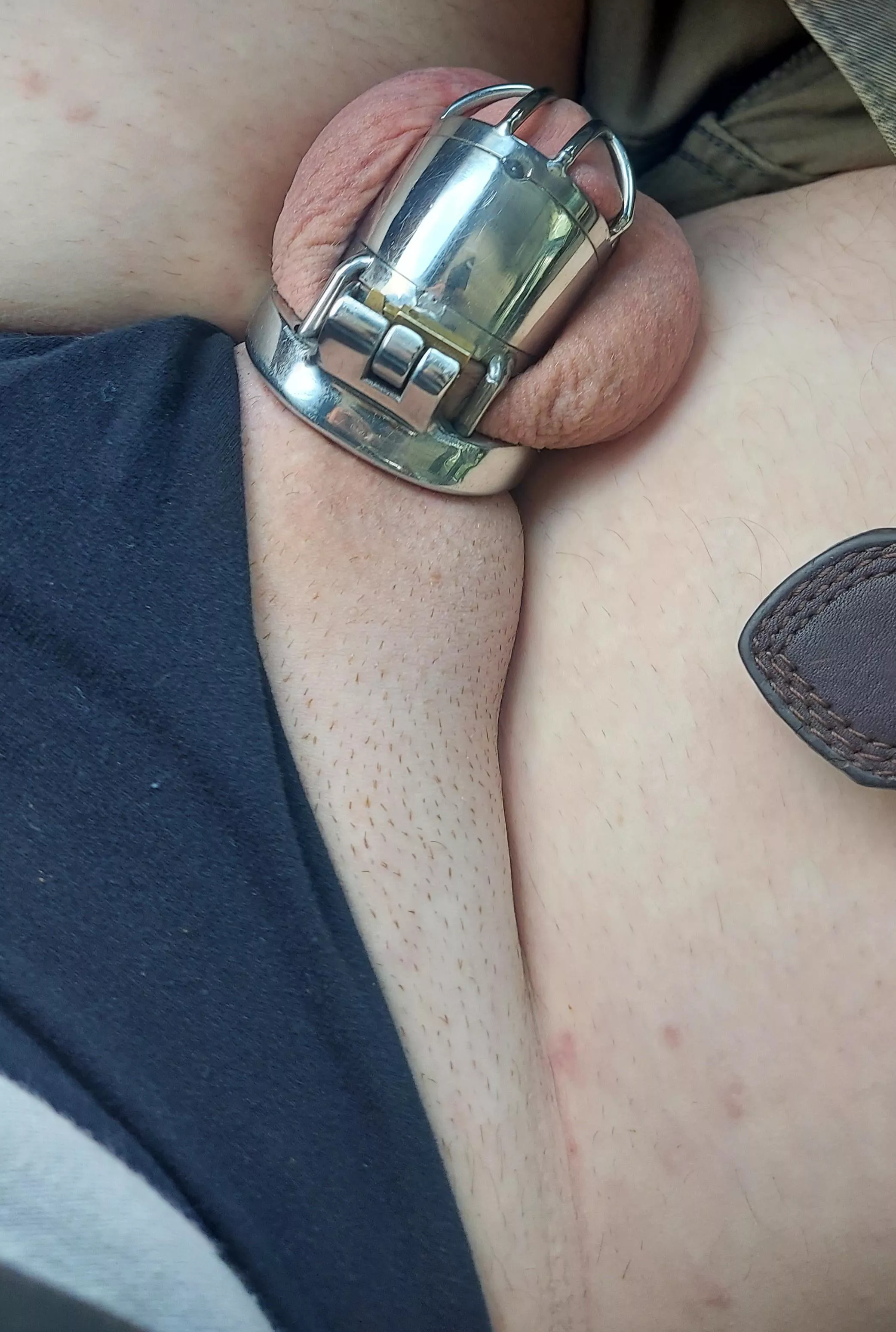 shaved and locked up tight