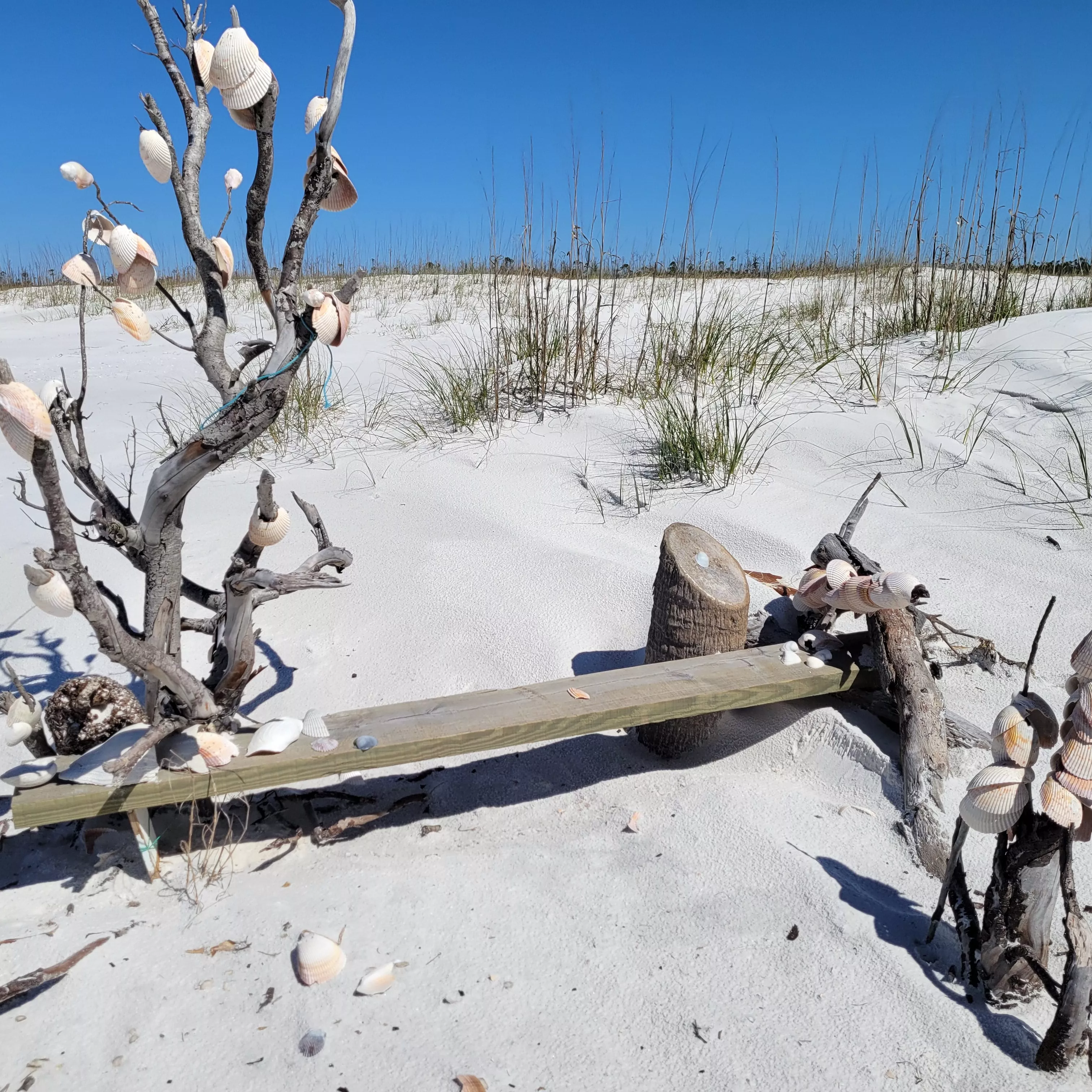 shell tree and bench