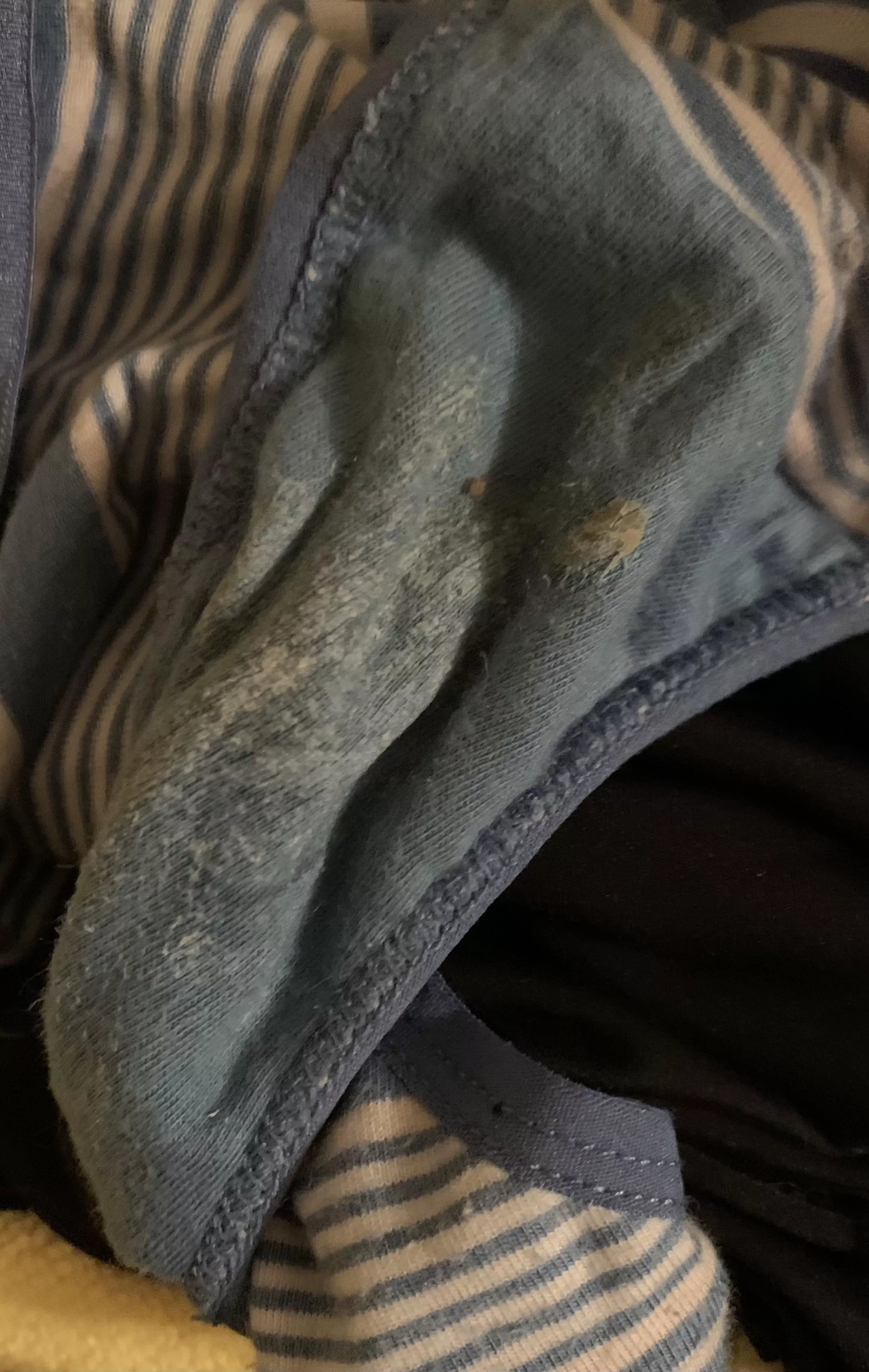 Should i cum on this dirty stain panties?