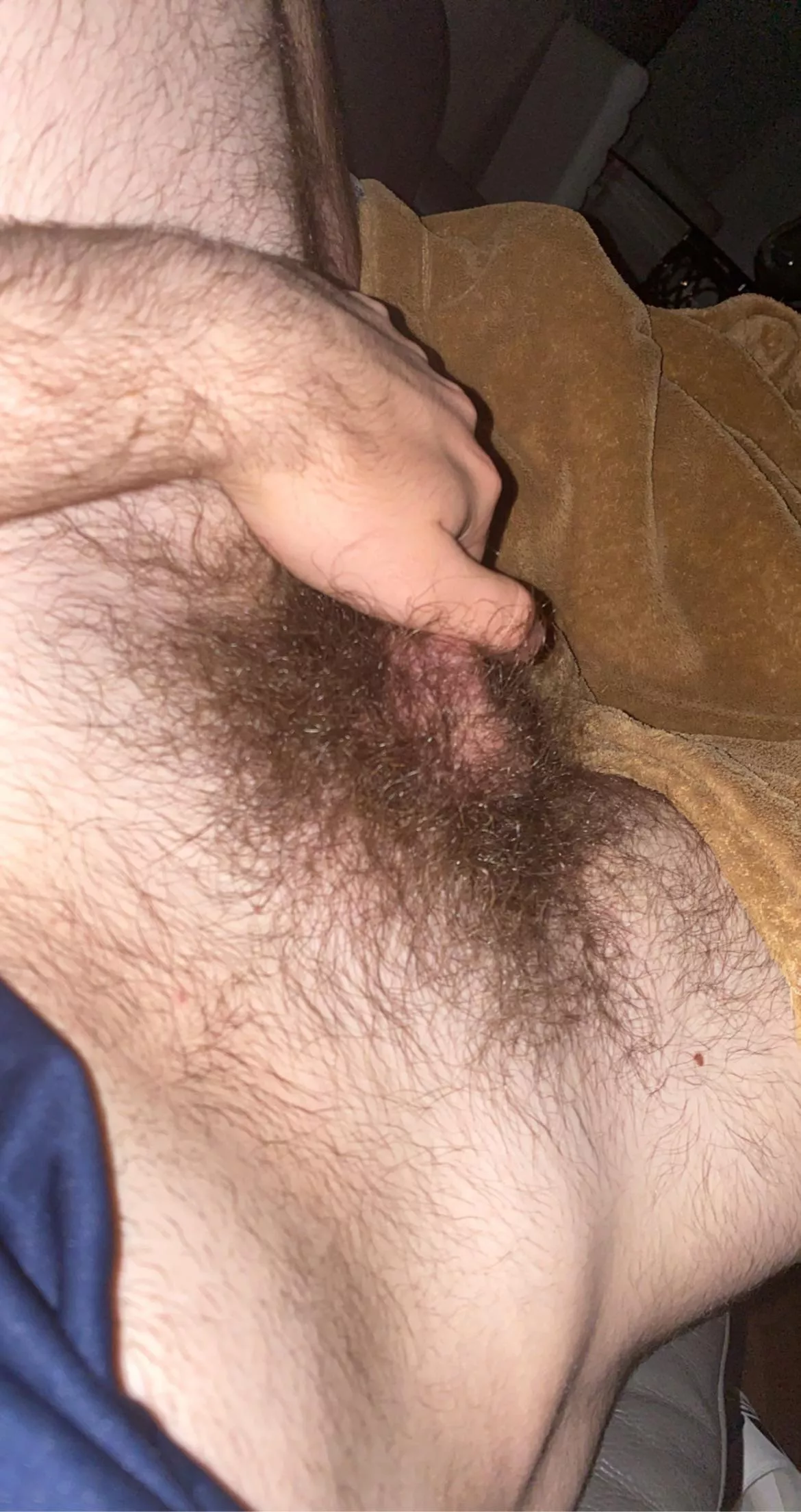 should I shave them?