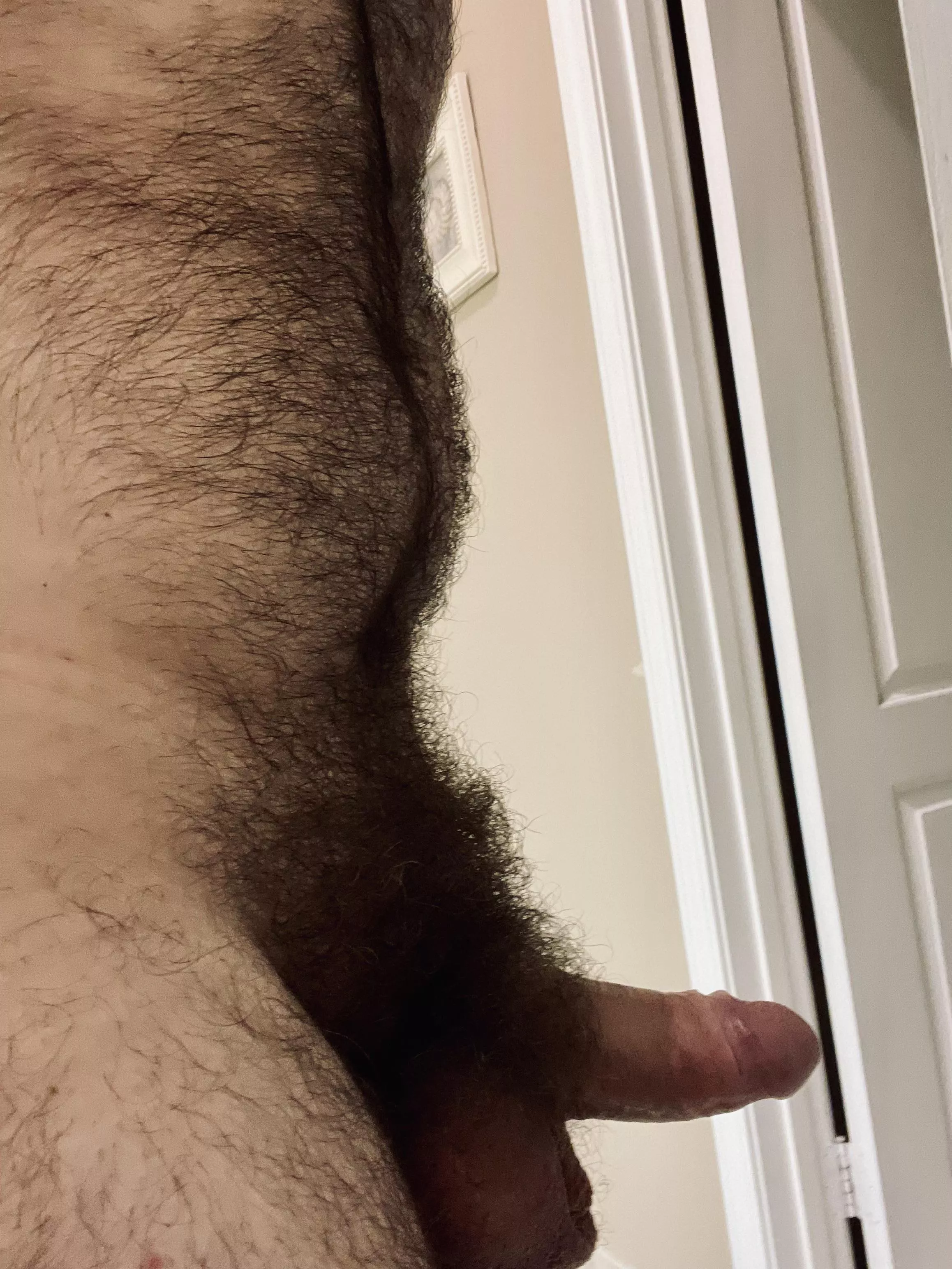 Side shot of the bush, sorry for my lilâ€™ belly popping out.