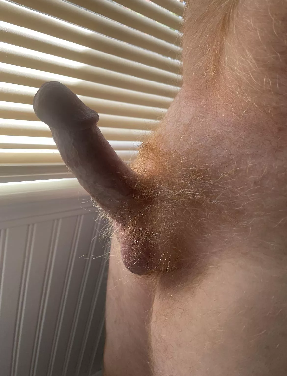 Silhouette cock/ ginger pubes