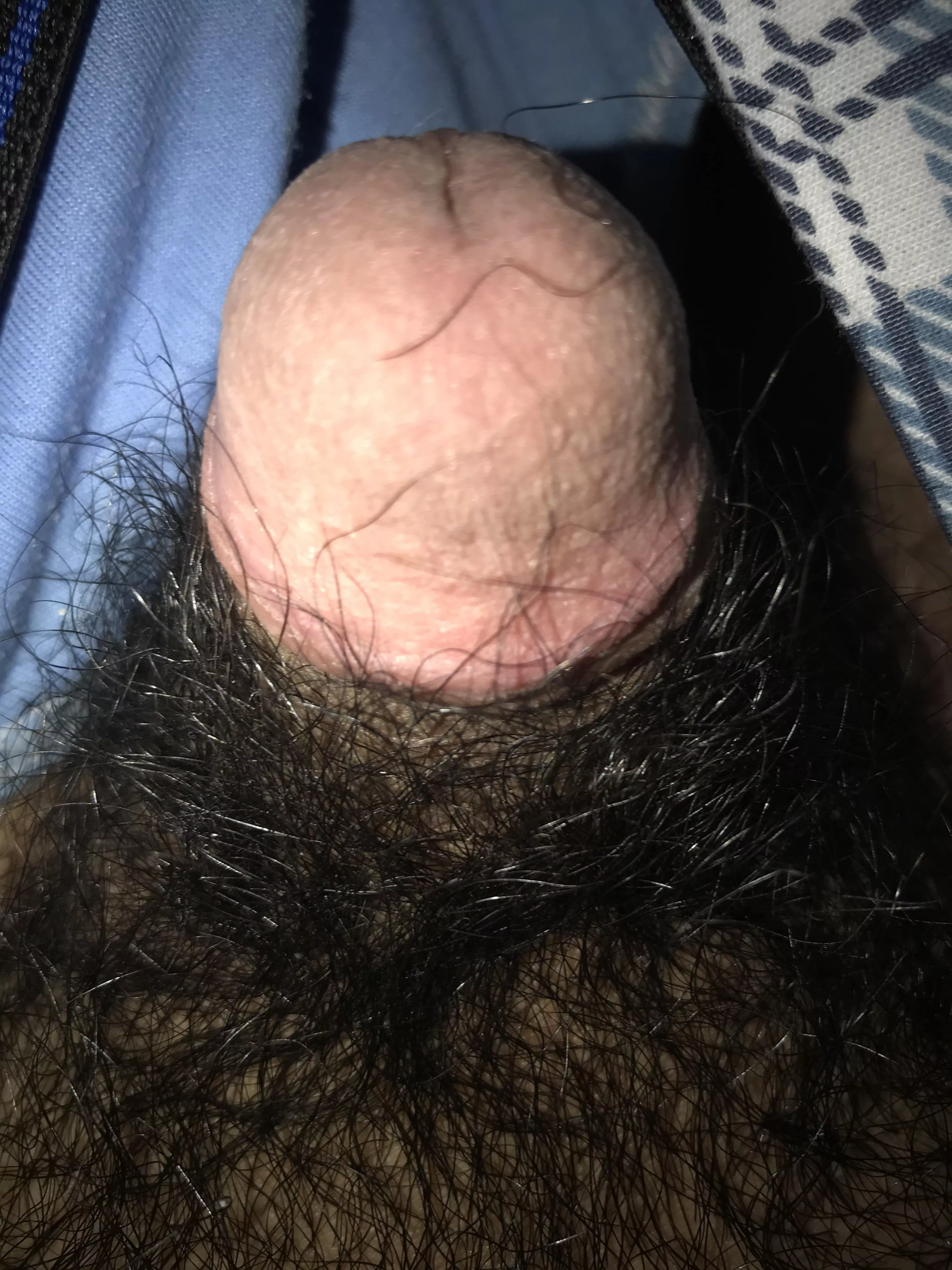 Small unshaved penis (20)