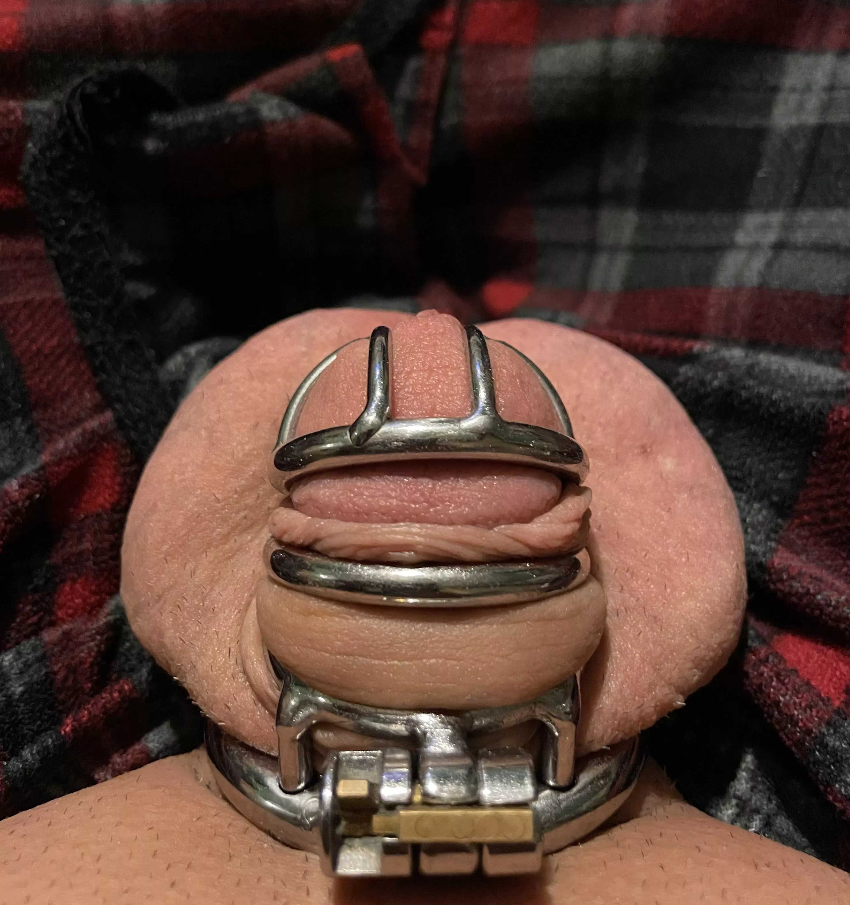 Smaller cage or just right??? She says I definitely have a small cock but I think the cage keeps me in check?! #cuckold #chastitycouple