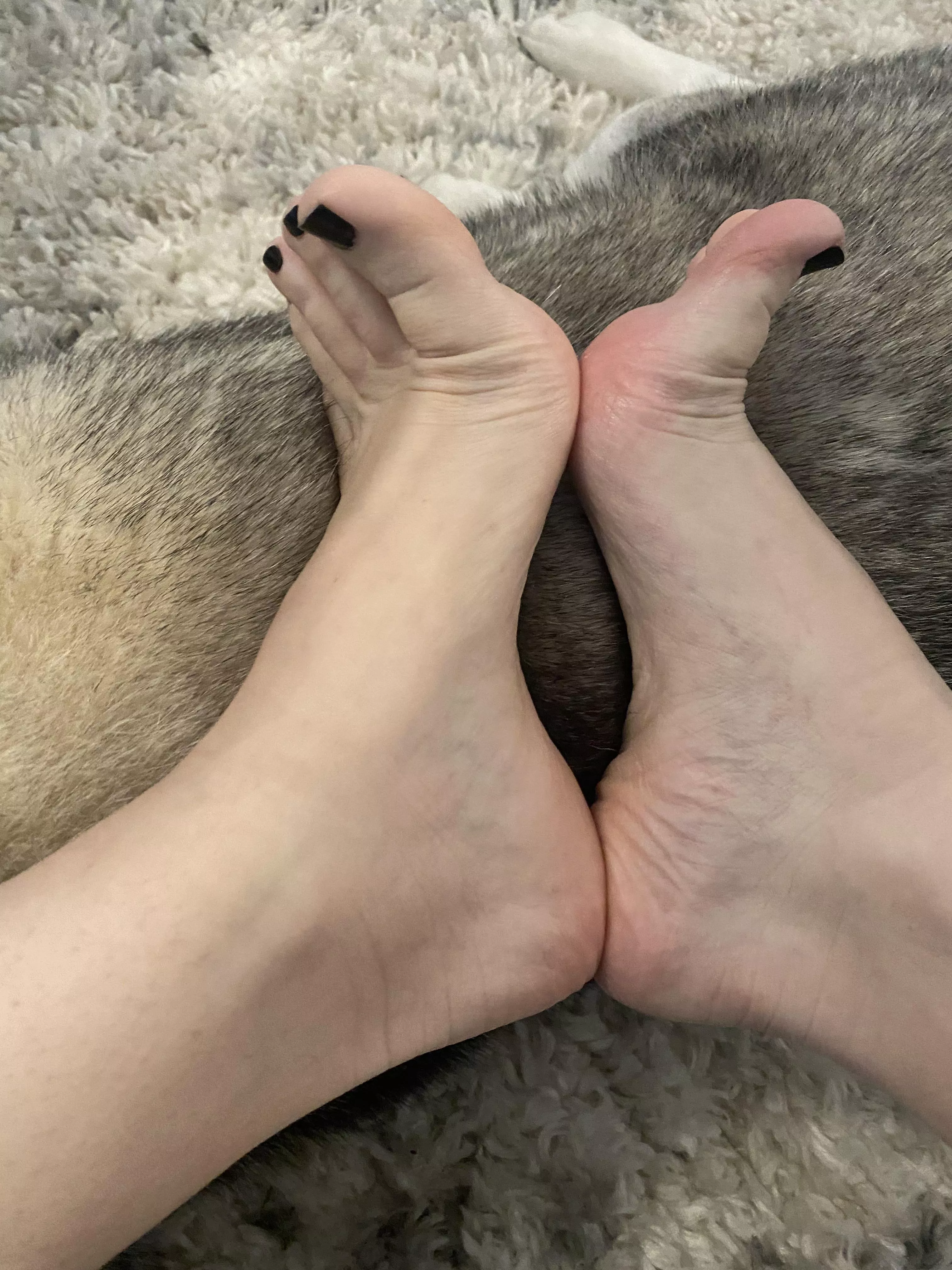 Smooth Arches