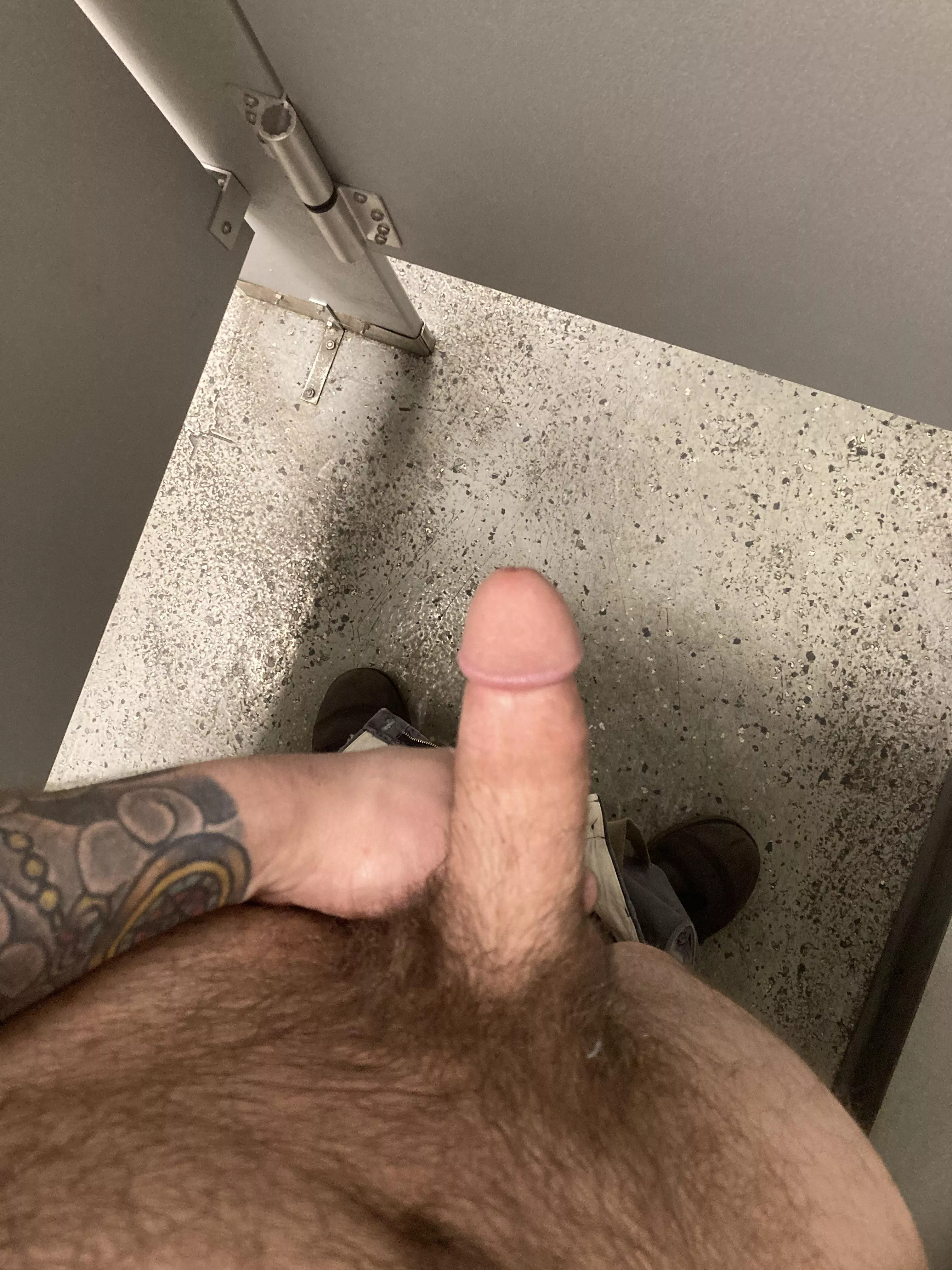 Sneaky little softy in the work bathroom. Help distract me from work