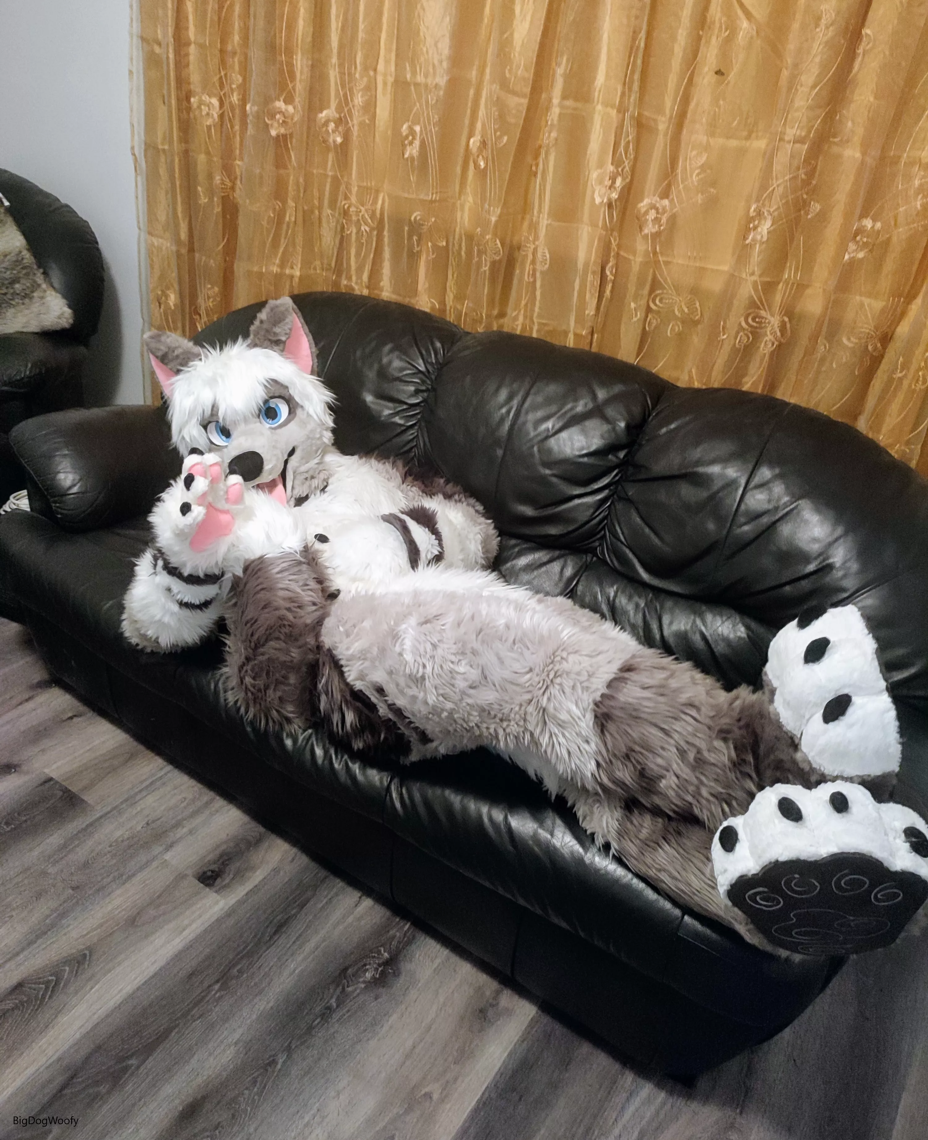 So they hired me to test out a couch, think you could help me?