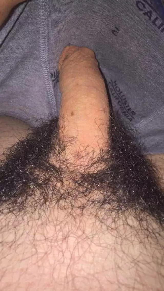 Soft and hairy what do you think?