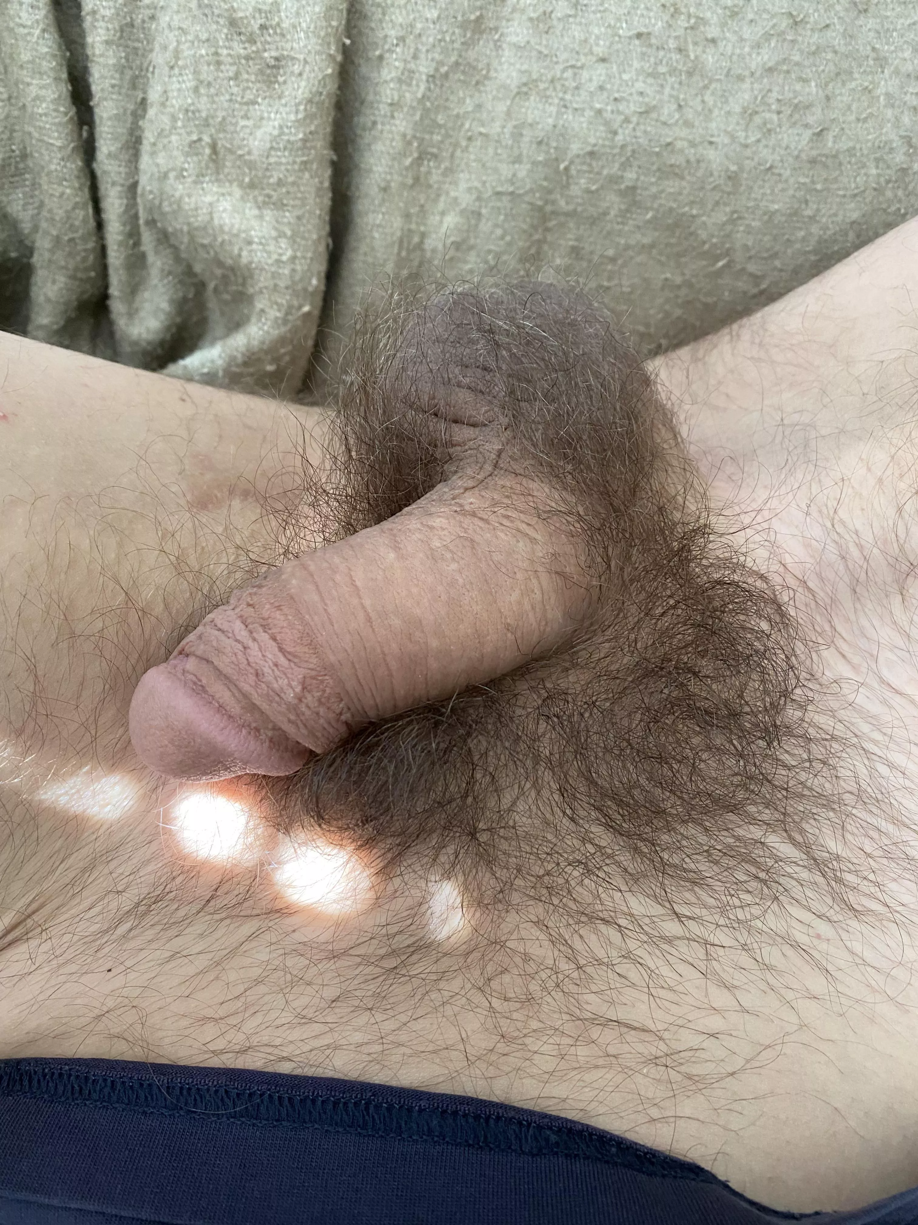 Soft bone, furry bush, tight balls