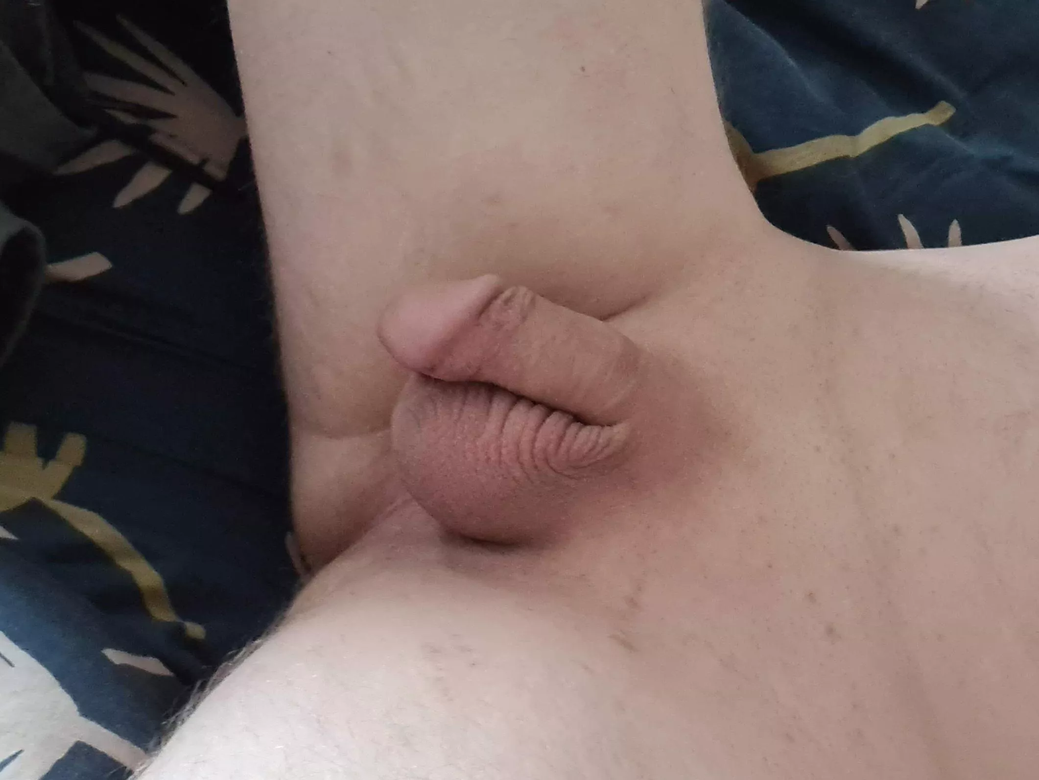 Soft dick, full balls