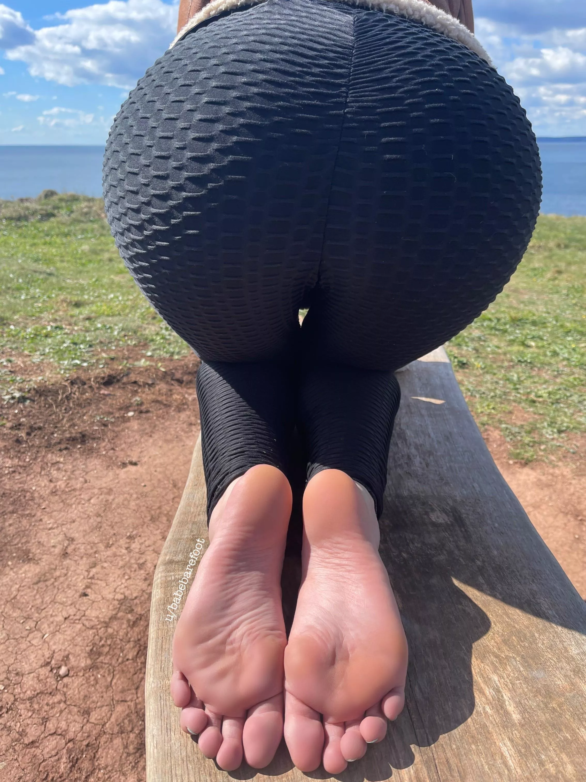 Soles by the sea. ðŸŒŠ If you walked by would they catch your eye?