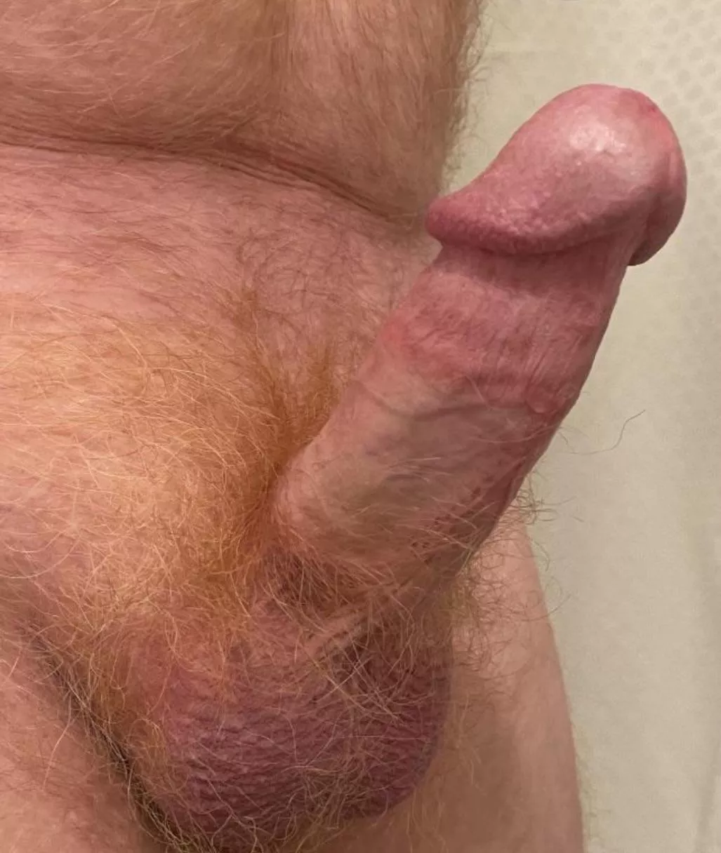 Some fiery Ginger pubes for you