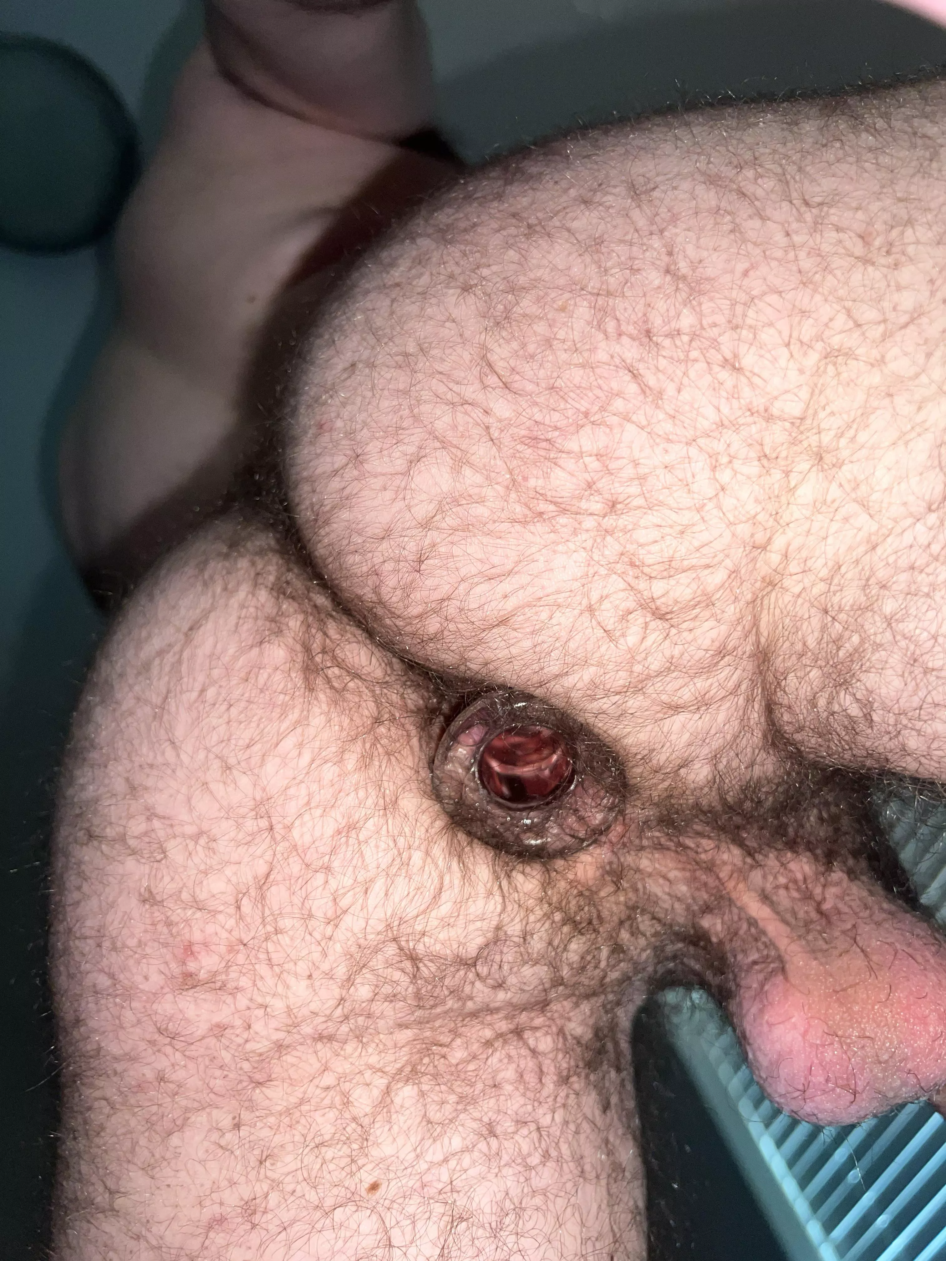 Some hairy hole for the bears of Reddit