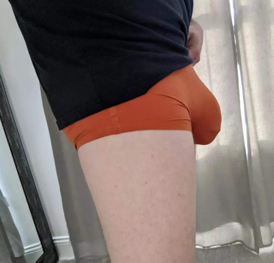 some new boxer briefs