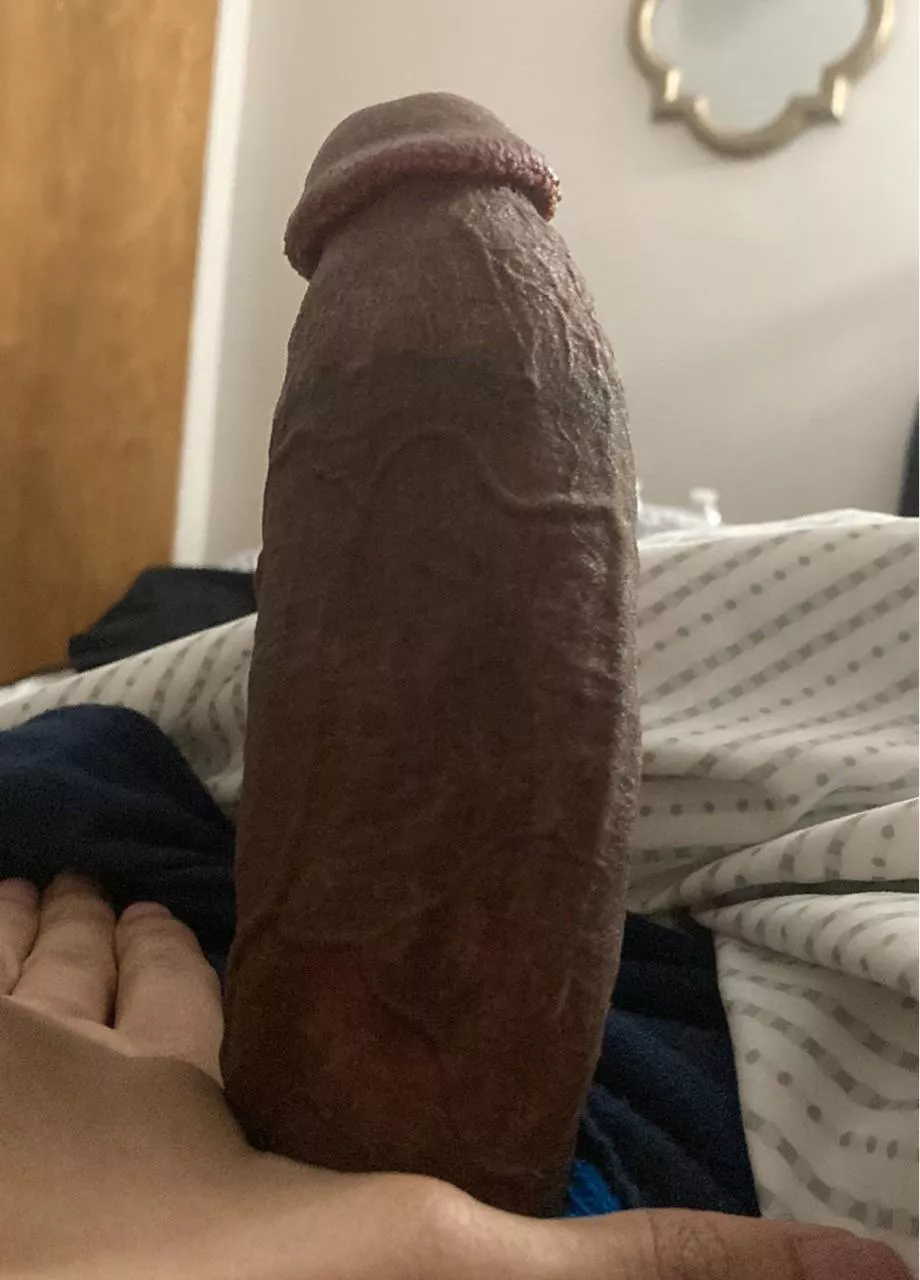 Some thick morning wood