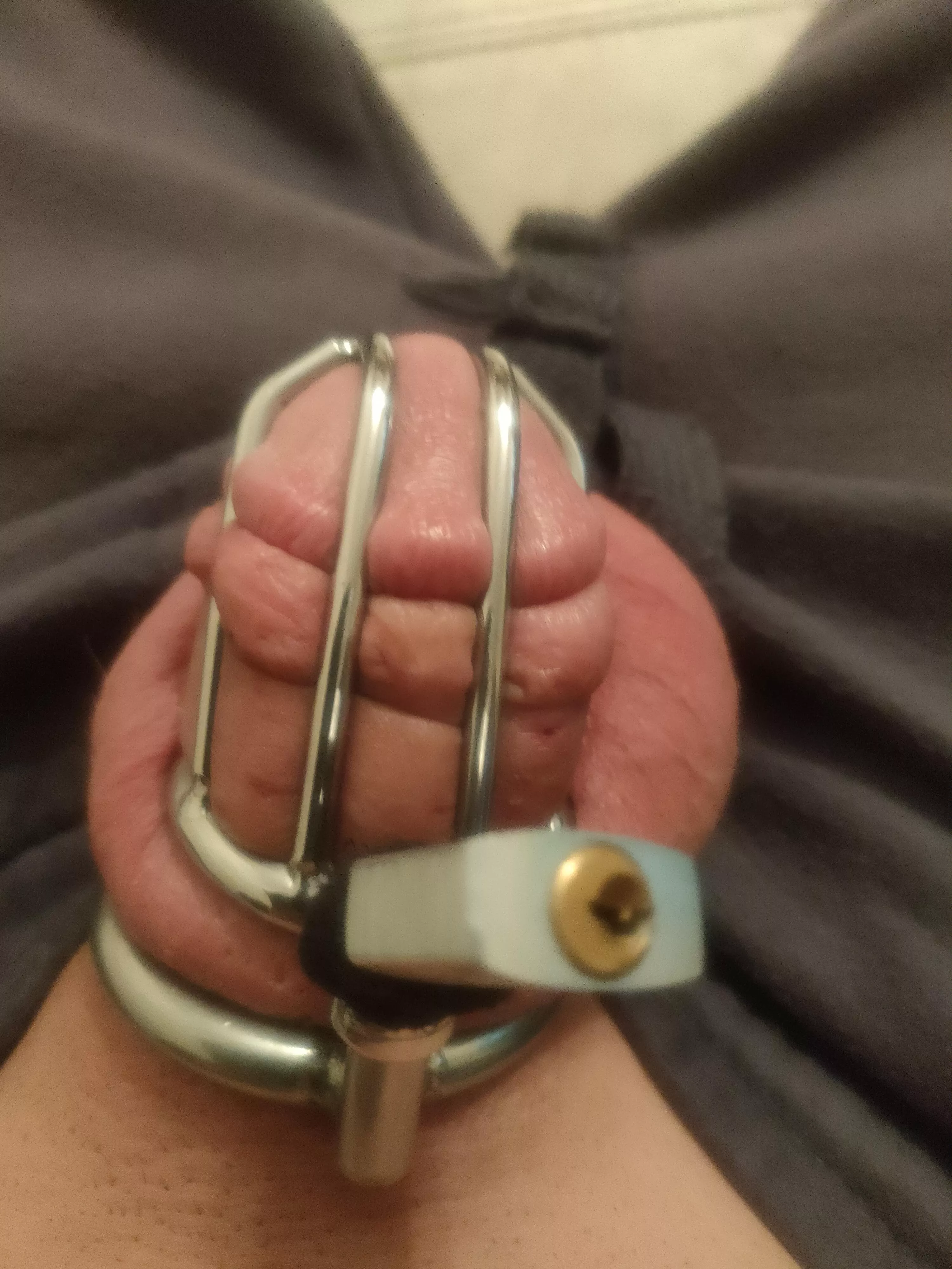 someone said my cage is to big my wife thinks it's perfect, what do you guys think?