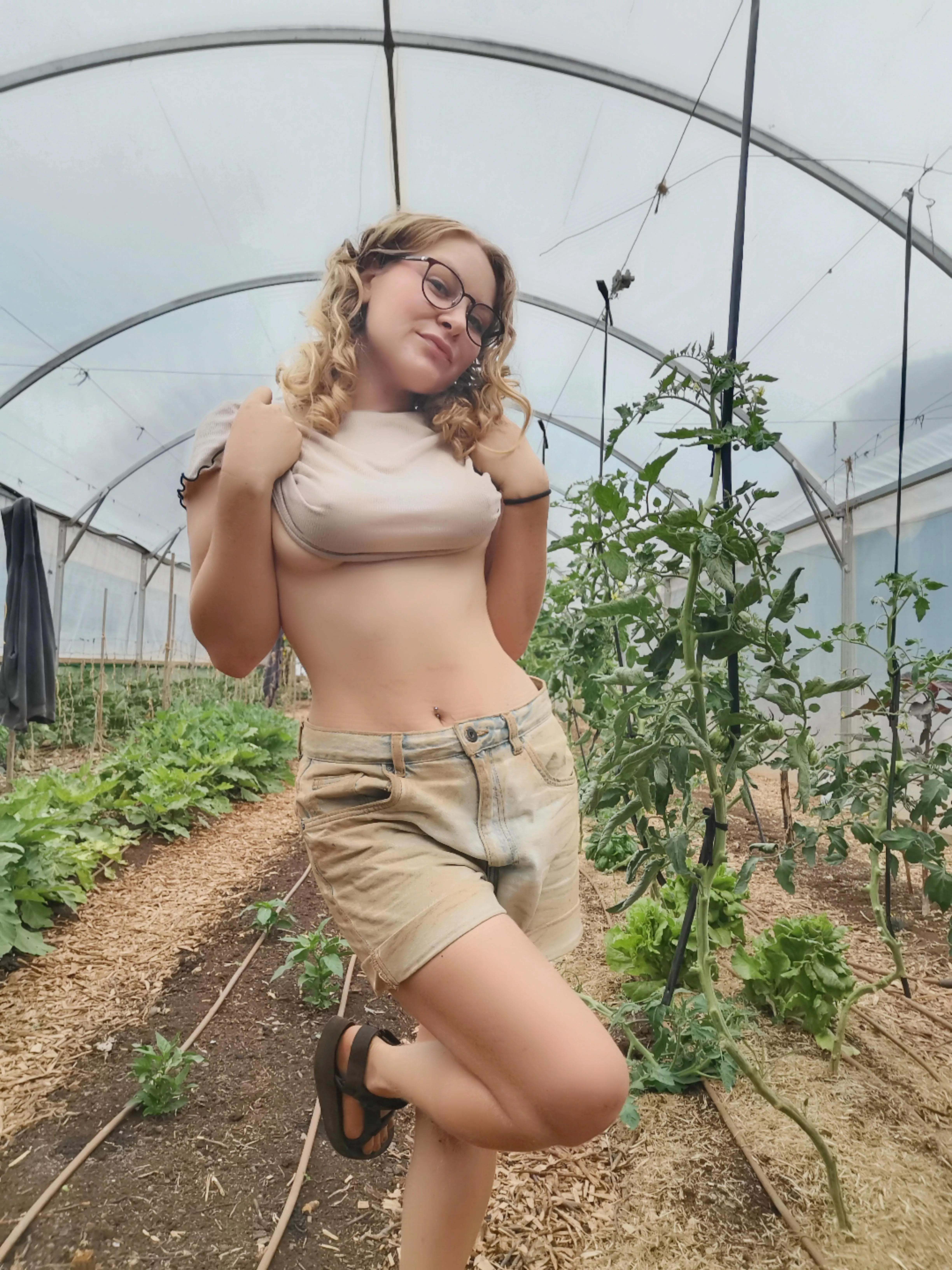 Sowing seeds in the greenhouse (F)