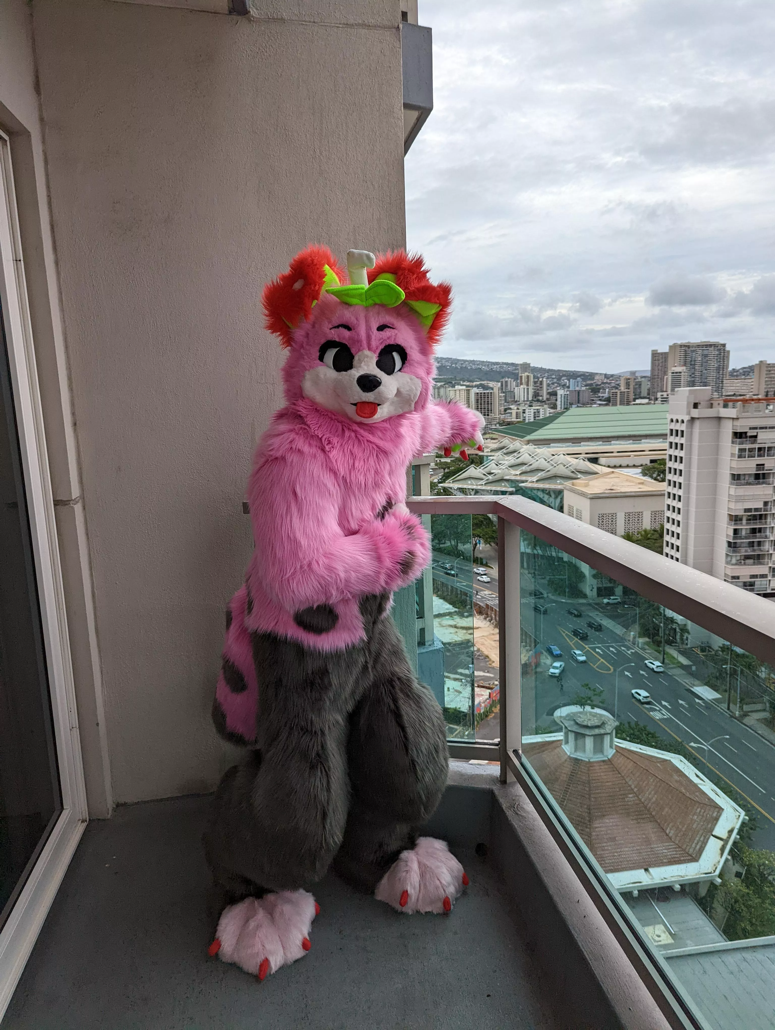 Strawberry boba dog at an anime convention (Kawaii Kon, Oahu, HI, USA)