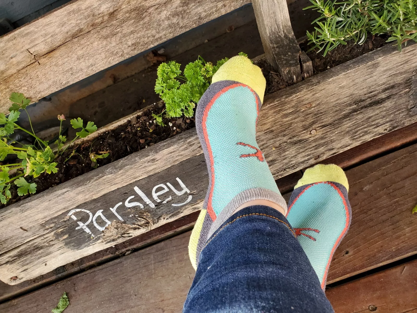 Super sweaty socks after watering my plants!