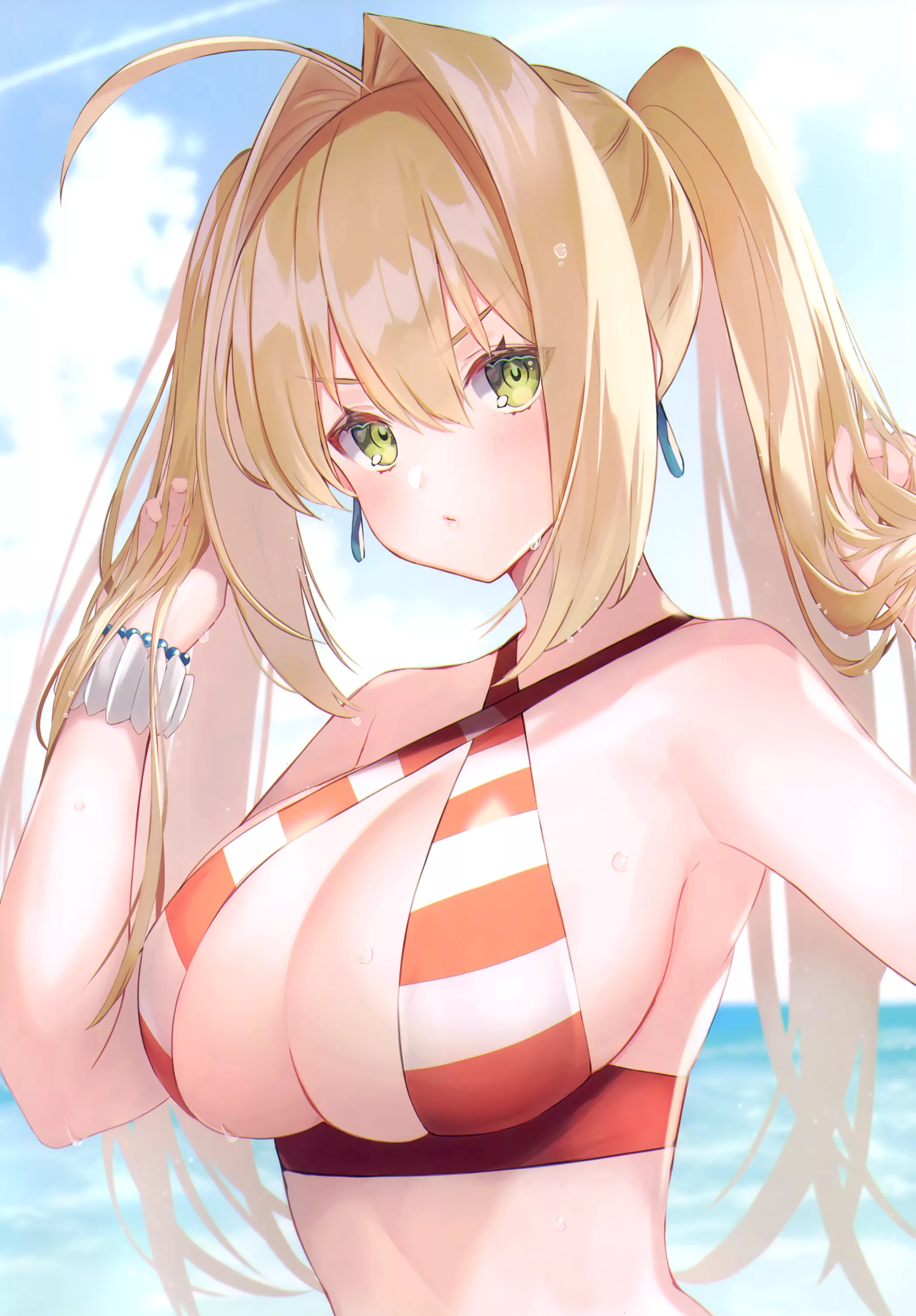 Swimsuit Nero (Suzuho Hotaru) [Fate]