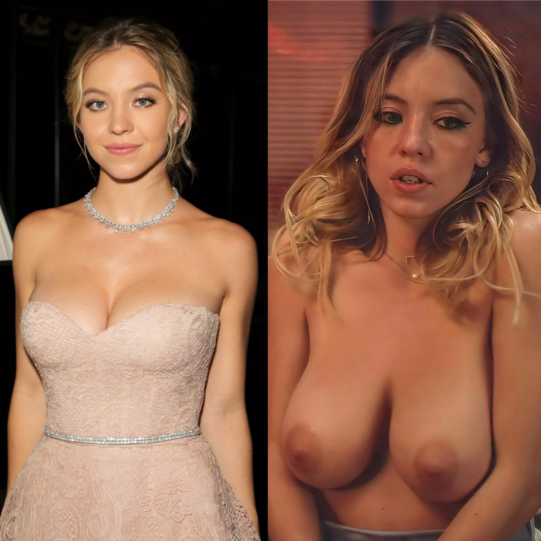 Sydney Sweeney's big tits are fucking perfect