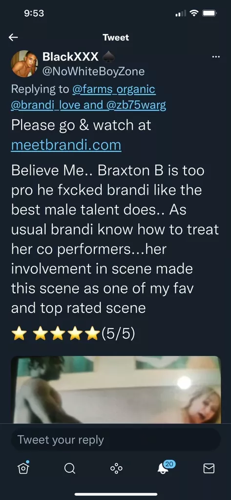 Testimonial of Brandi's New Fuck A Fan Scene