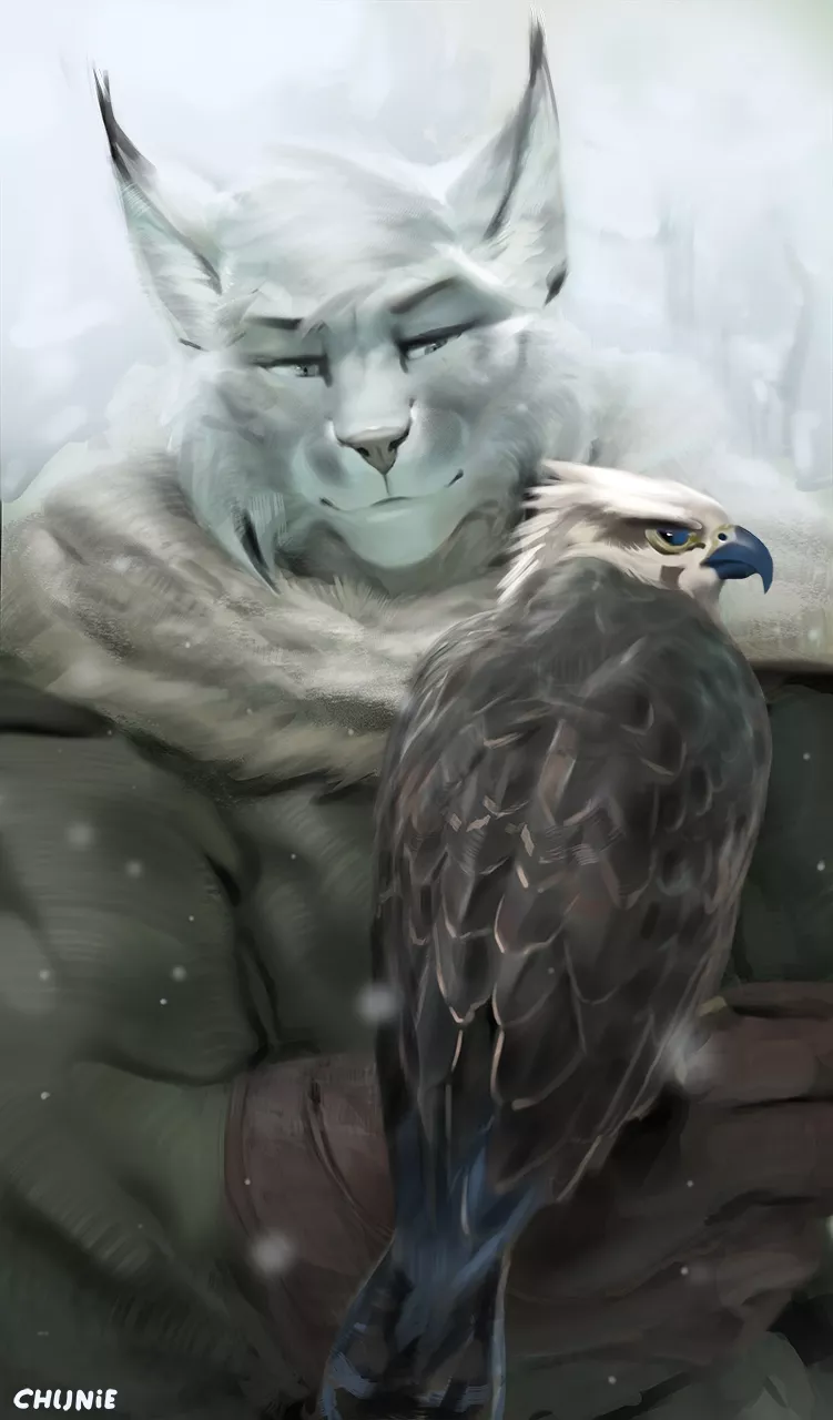 The Falconer (art by Chunie)