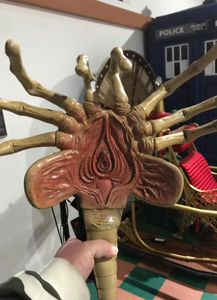 The lower part of an alien â€˜facehuggerâ€™.