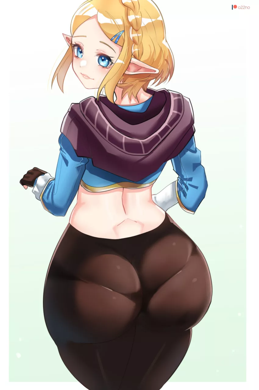 The Plump Princess Zelda (O22no)