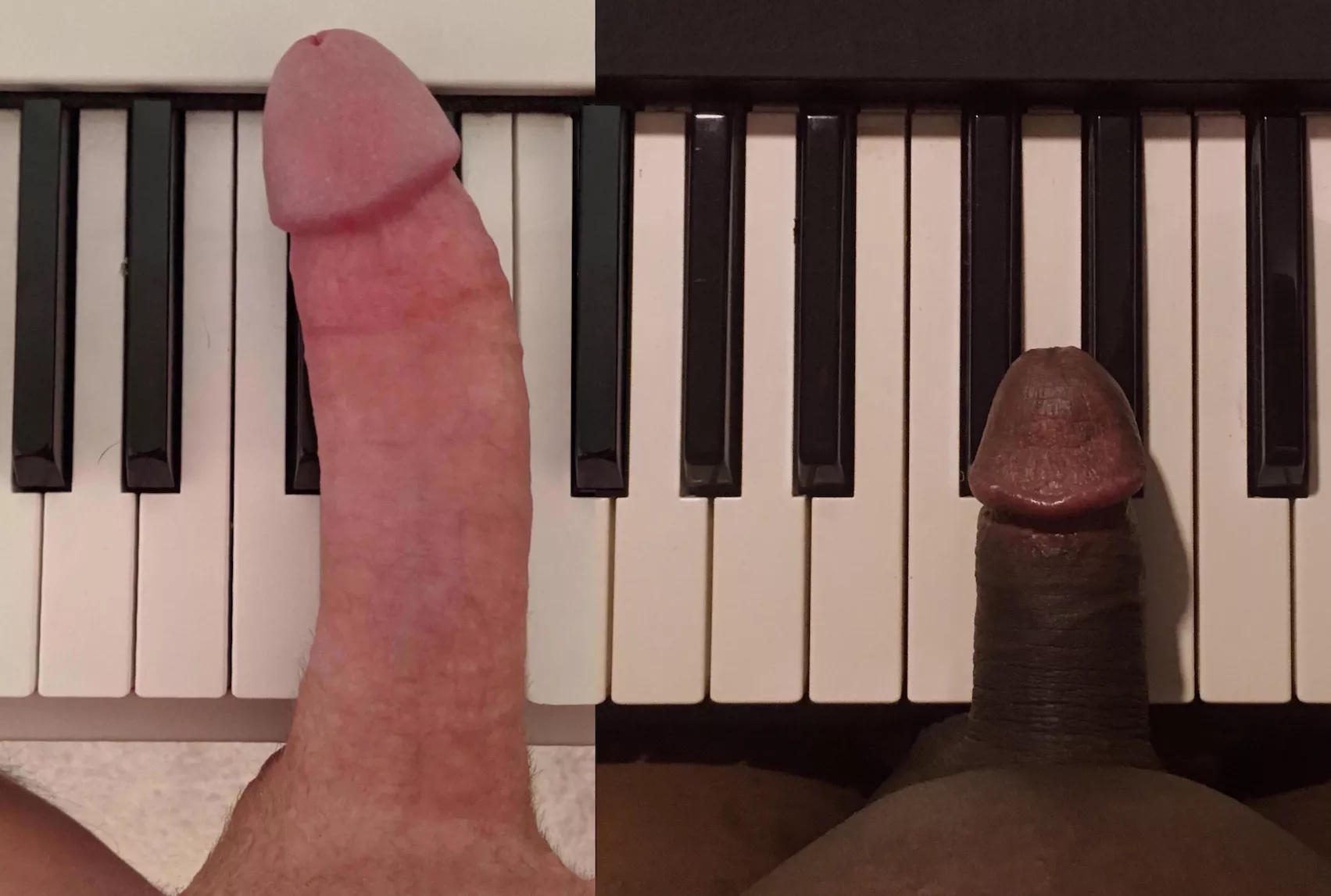 The white keys are much bigger than the black ones and u/SplooieOnMyFace is much bigger than me