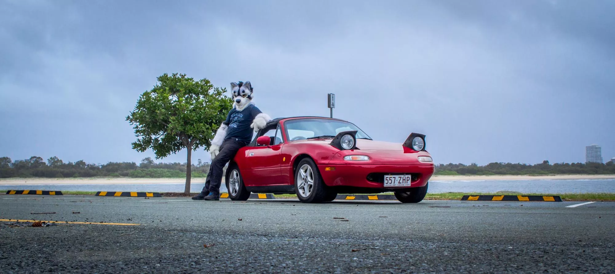 There's nothing more scary to a homophobe than a furry with an MX-5