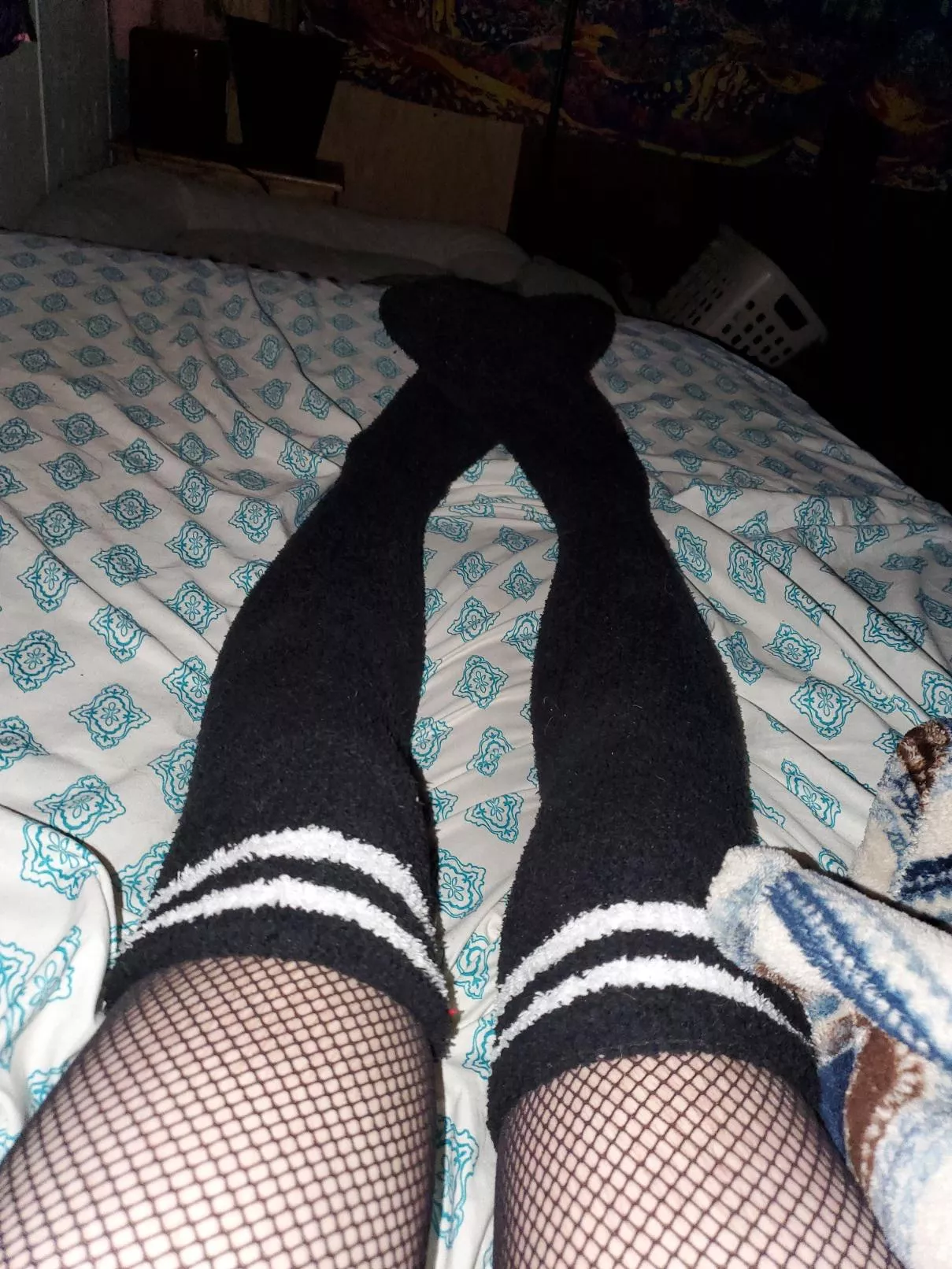 they are only thigh high since I'm short