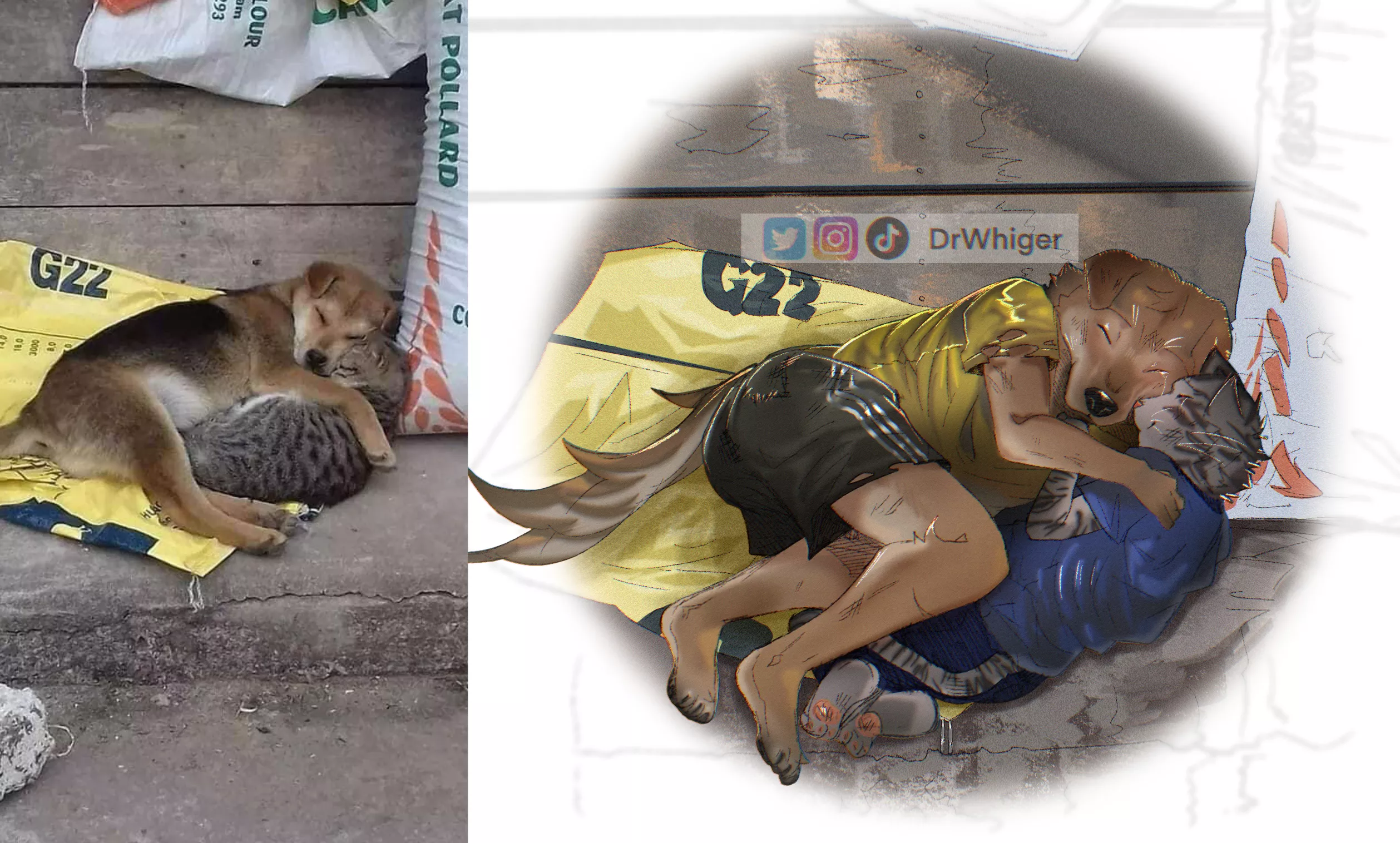 They might be Homeless but Theyâ€™re not Heartless