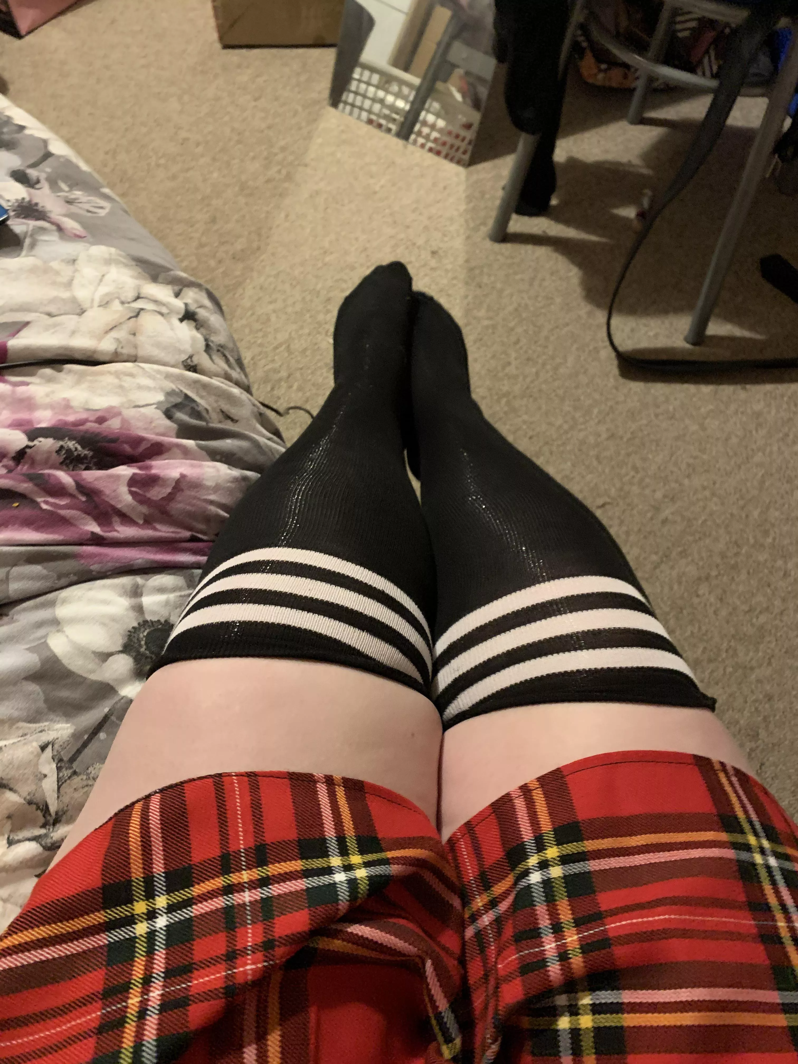 Thick thighs in thigh highs