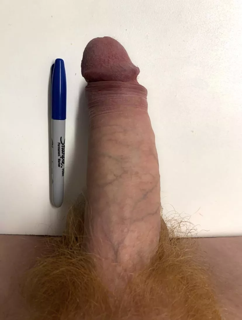 Thick, Uncut, Veiny.. and a Sharpie for perspectiveâ€¦Straight M4F