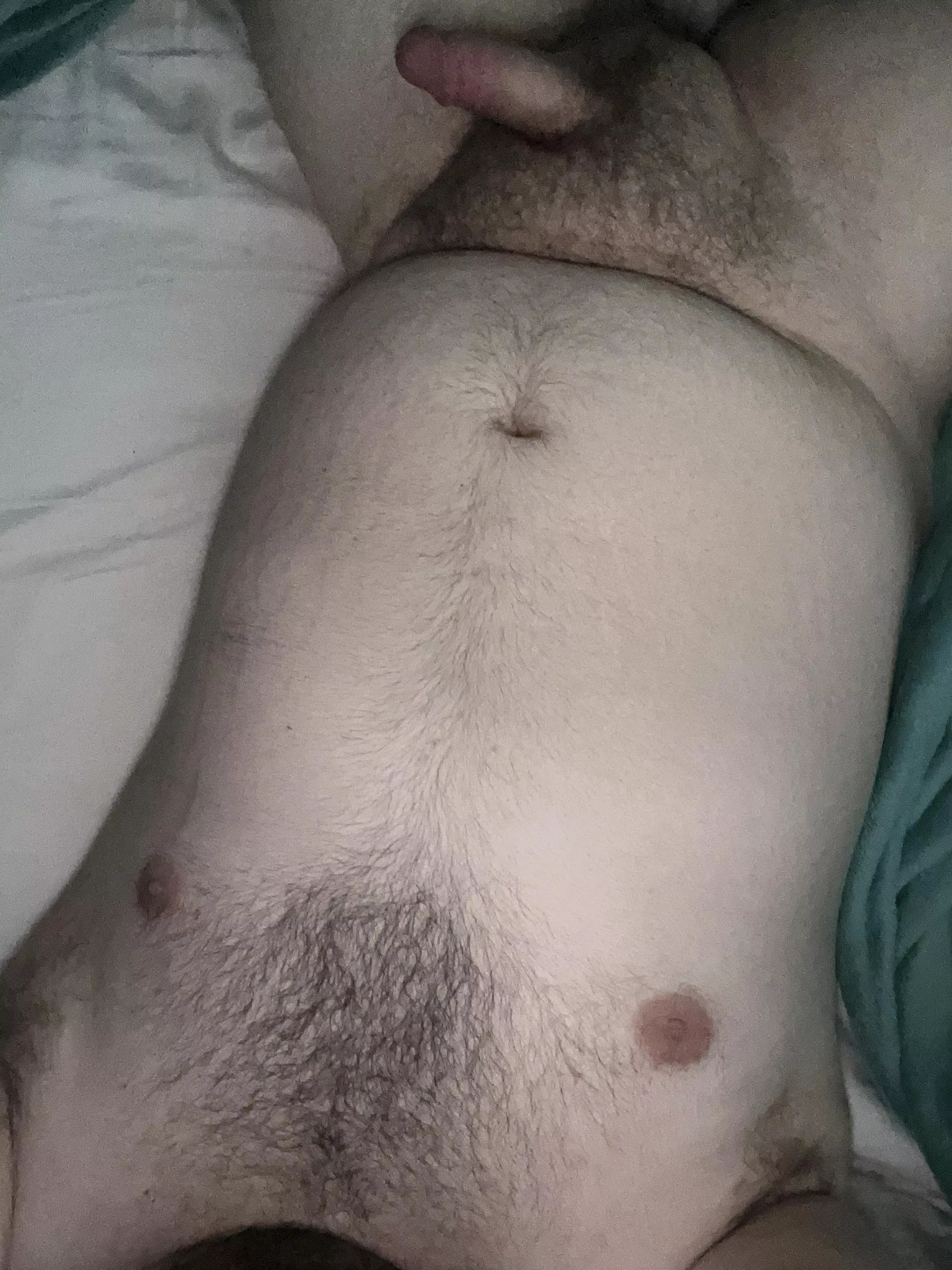 This Canadian bear is looking for a player 2! Dm me! 23