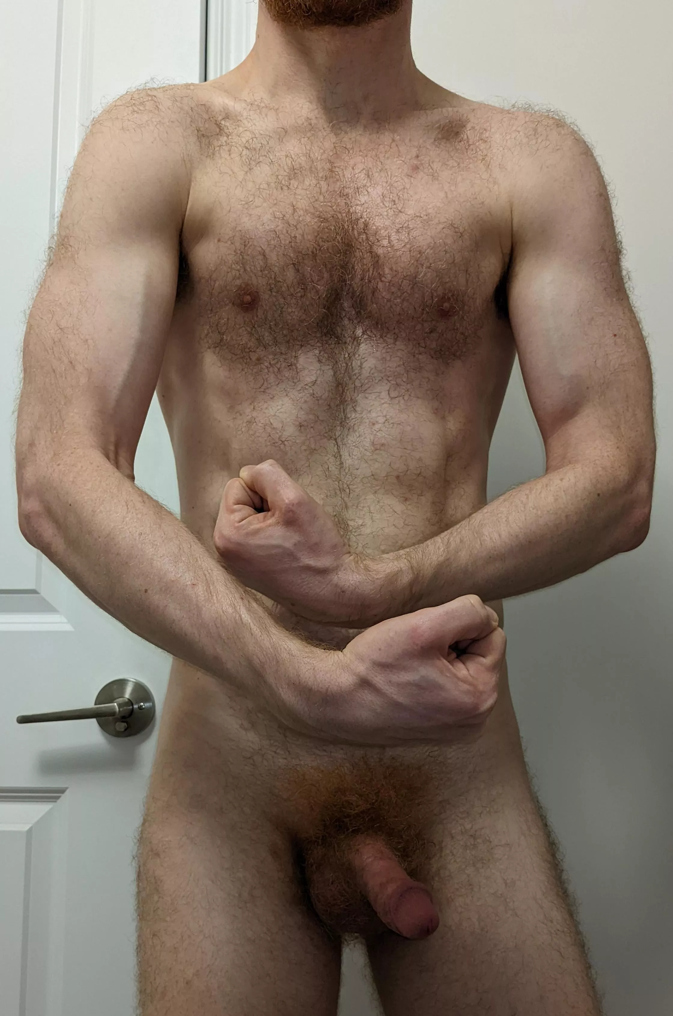 This furry, fit ginger just needed to show off a bit 😉