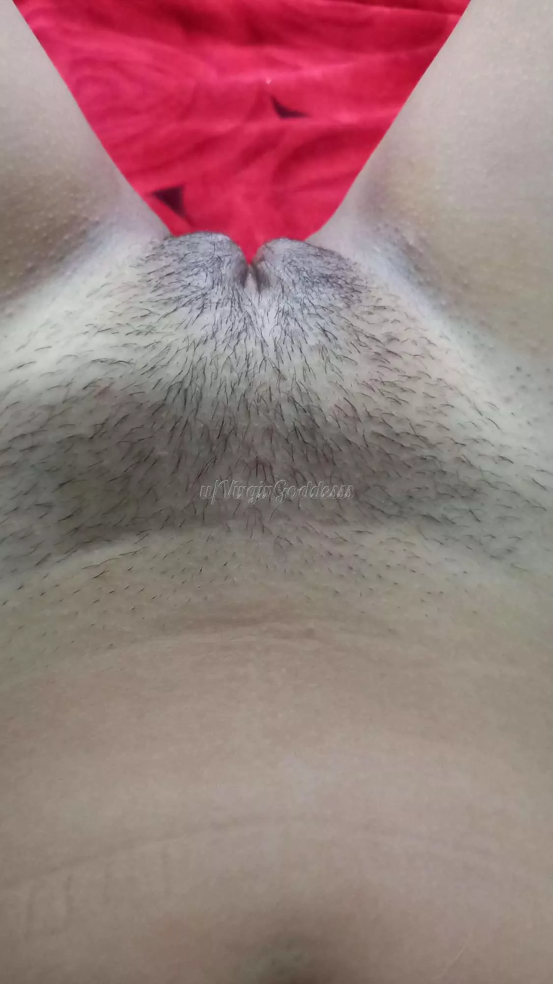 This is my Virgin pussy