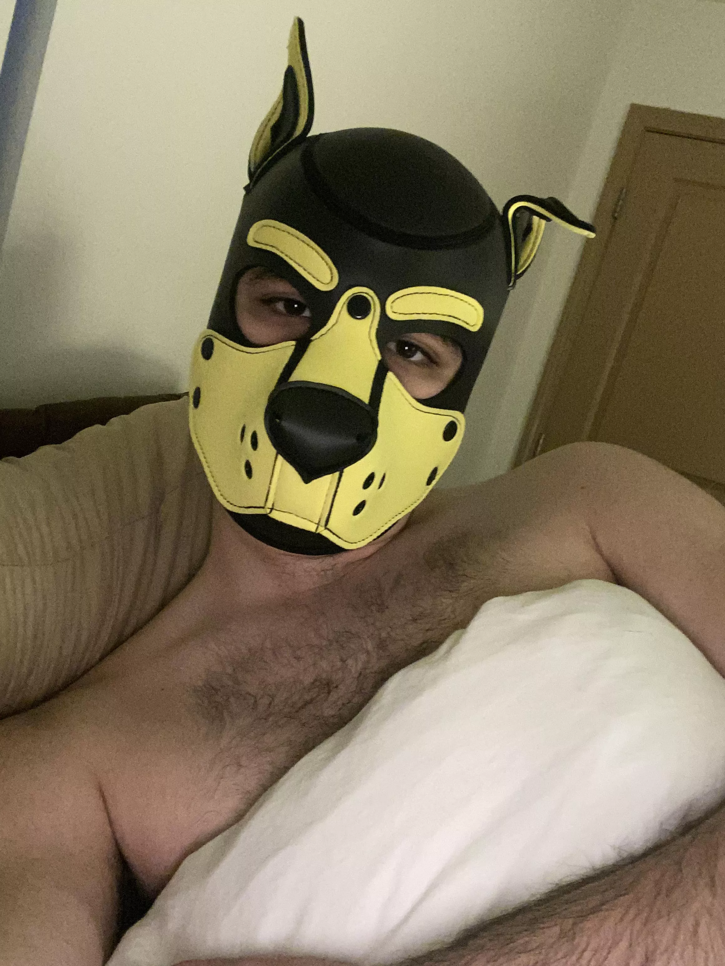 This pup had a long day and needs his nighttime cuddles, whoâ€™s coming awrooo?!