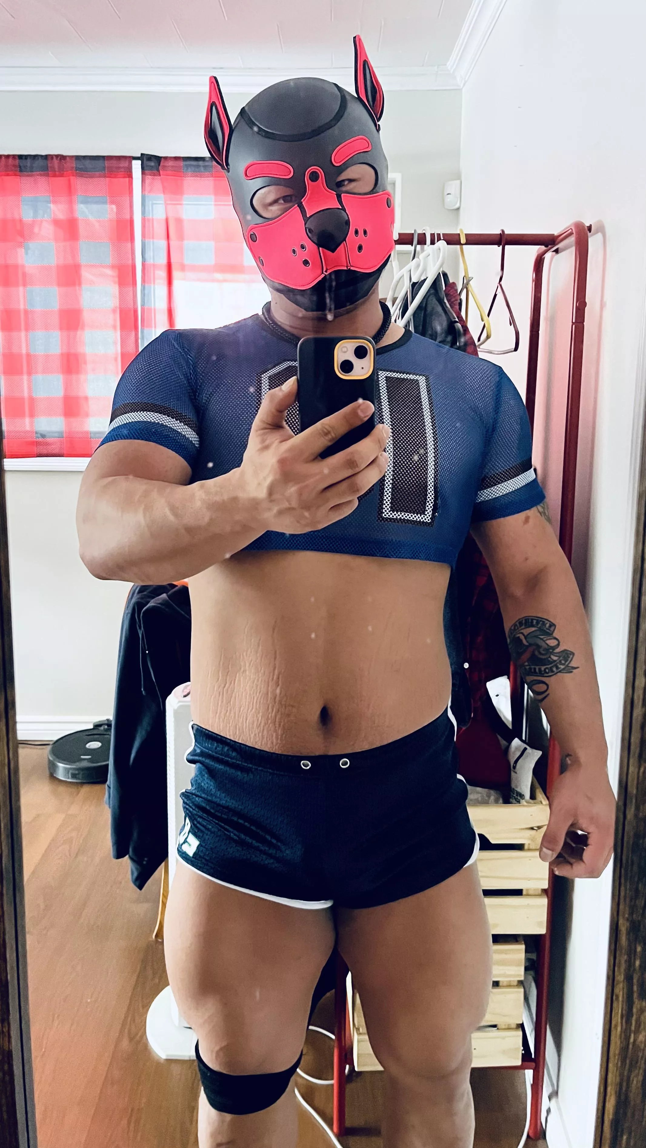 This puppy has been working hard bulking up 💪🏼🐶 now prepping for summer fun! 🥰☀️🩲