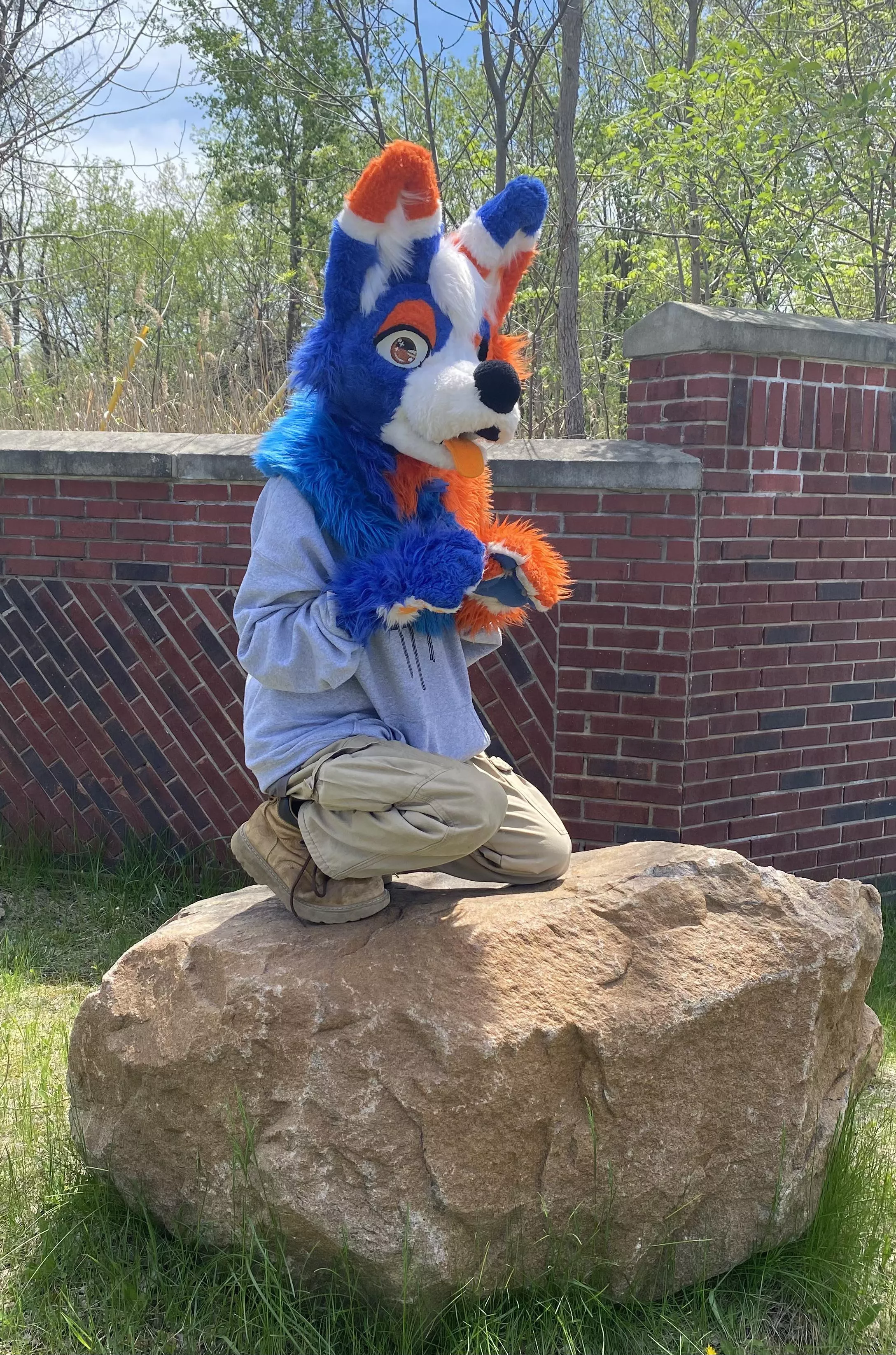 TidedPod Claimed His Rock! 🥰💙🧡🪨