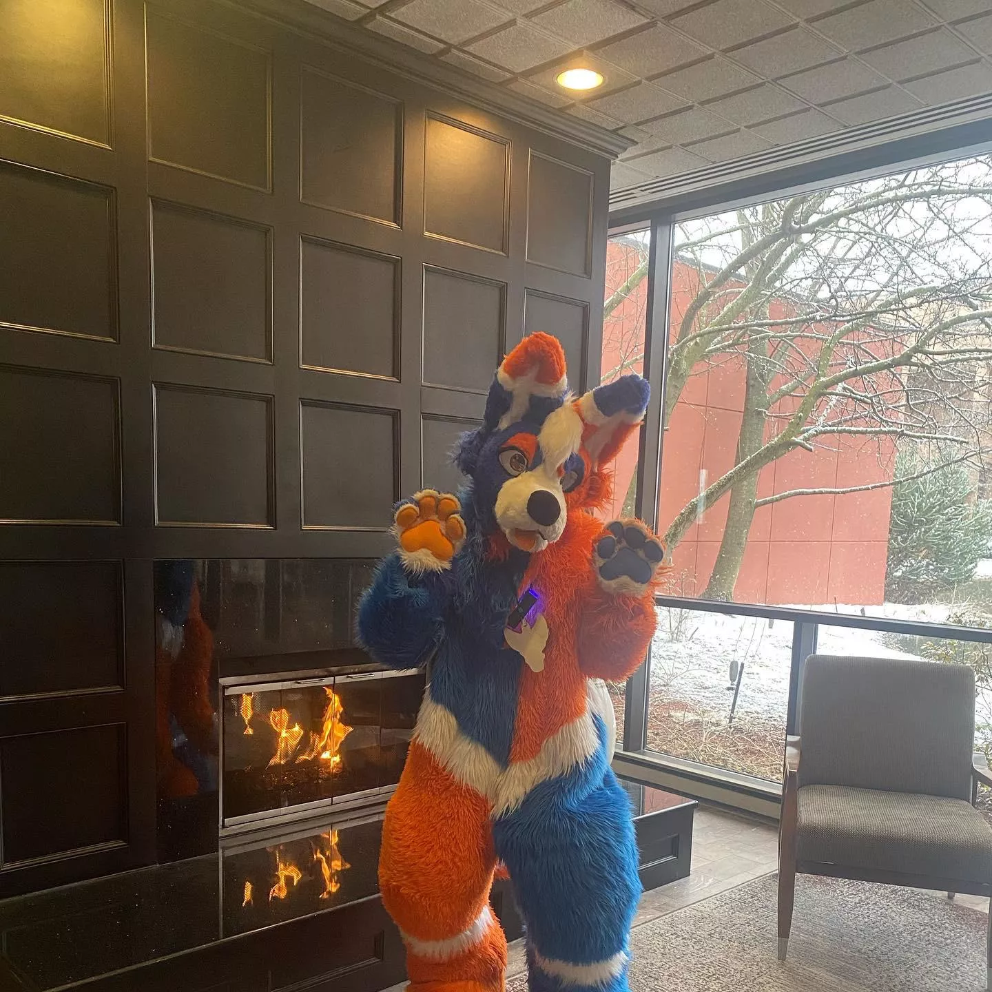 TidedPod out looking cute! ðŸ¥°ðŸ’™ðŸ§¡