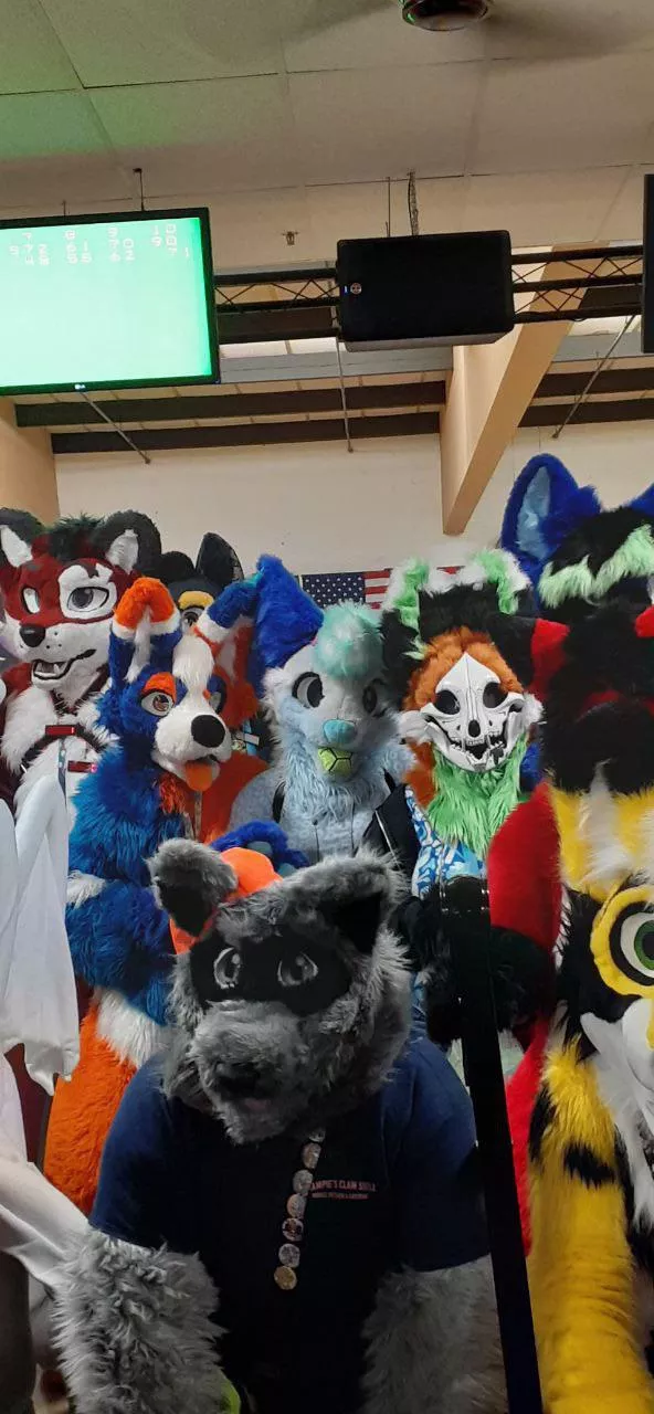 Tidedpod with his fellow furry friends at a furbowl! ðŸ¥°ðŸ§¡ðŸ’™