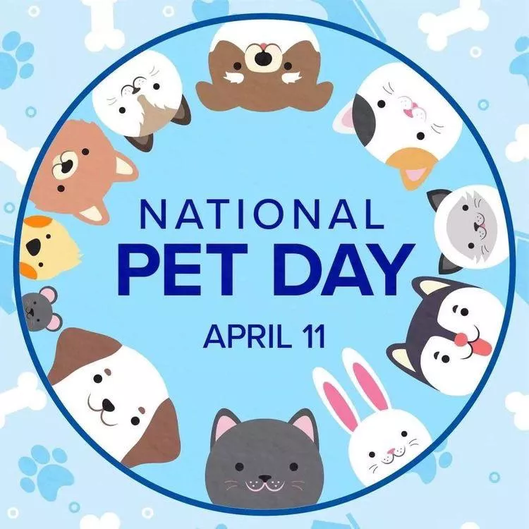 Time to celebrate! Happy Holiday my fellow pets 🥰