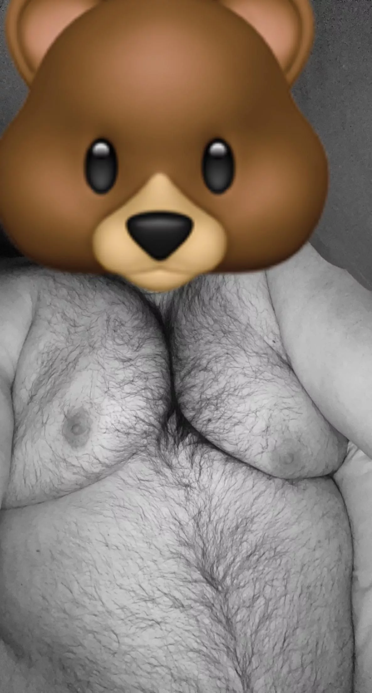 time to rest, although wish i had a pair of masculine hands on my hairy tits as they suck them • 27M • DMs open (be prepared to swap face pics)